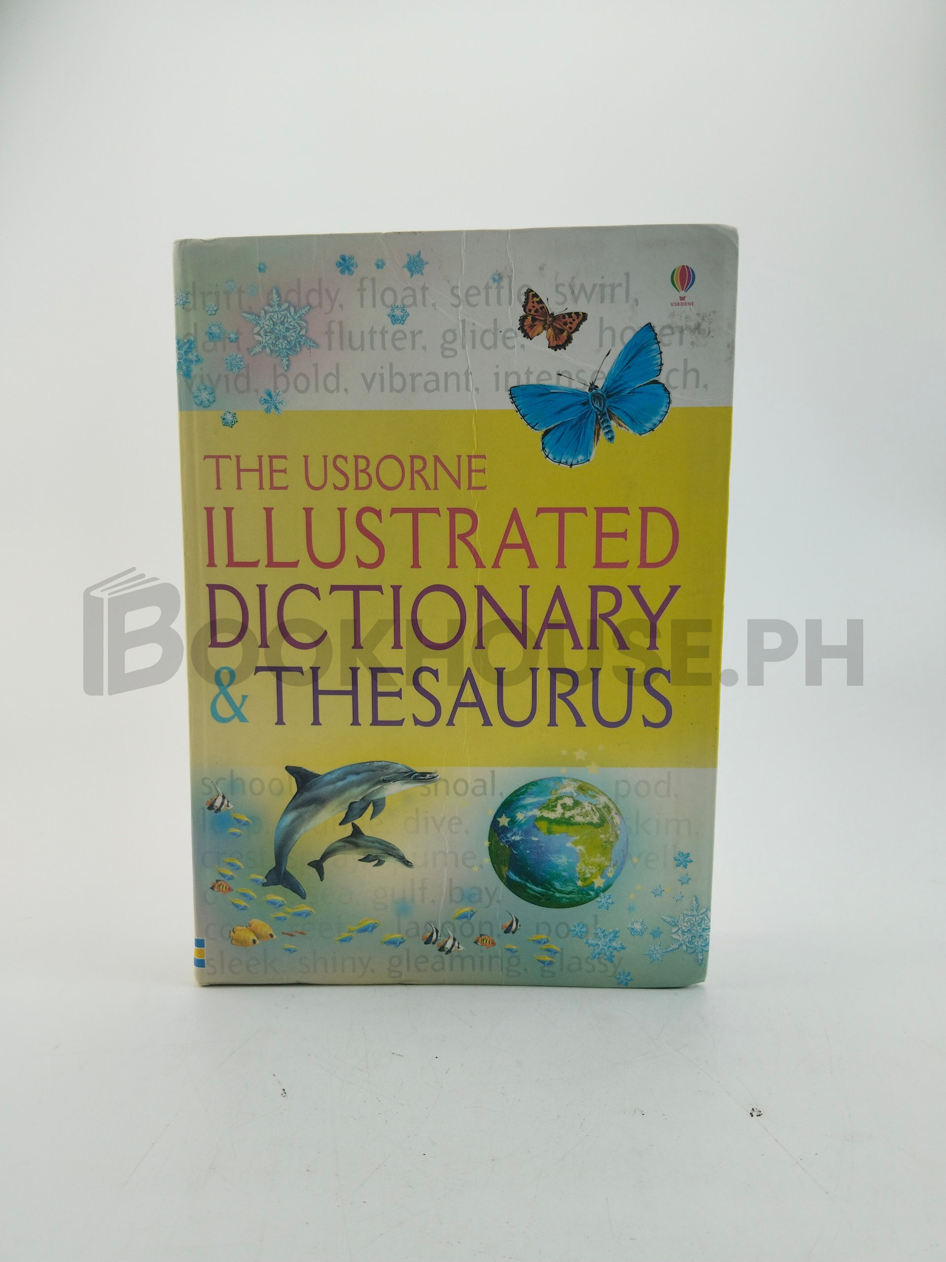 Illustrated Dictionary And Thesaurus by Jane Bingham, Fiona Chandler