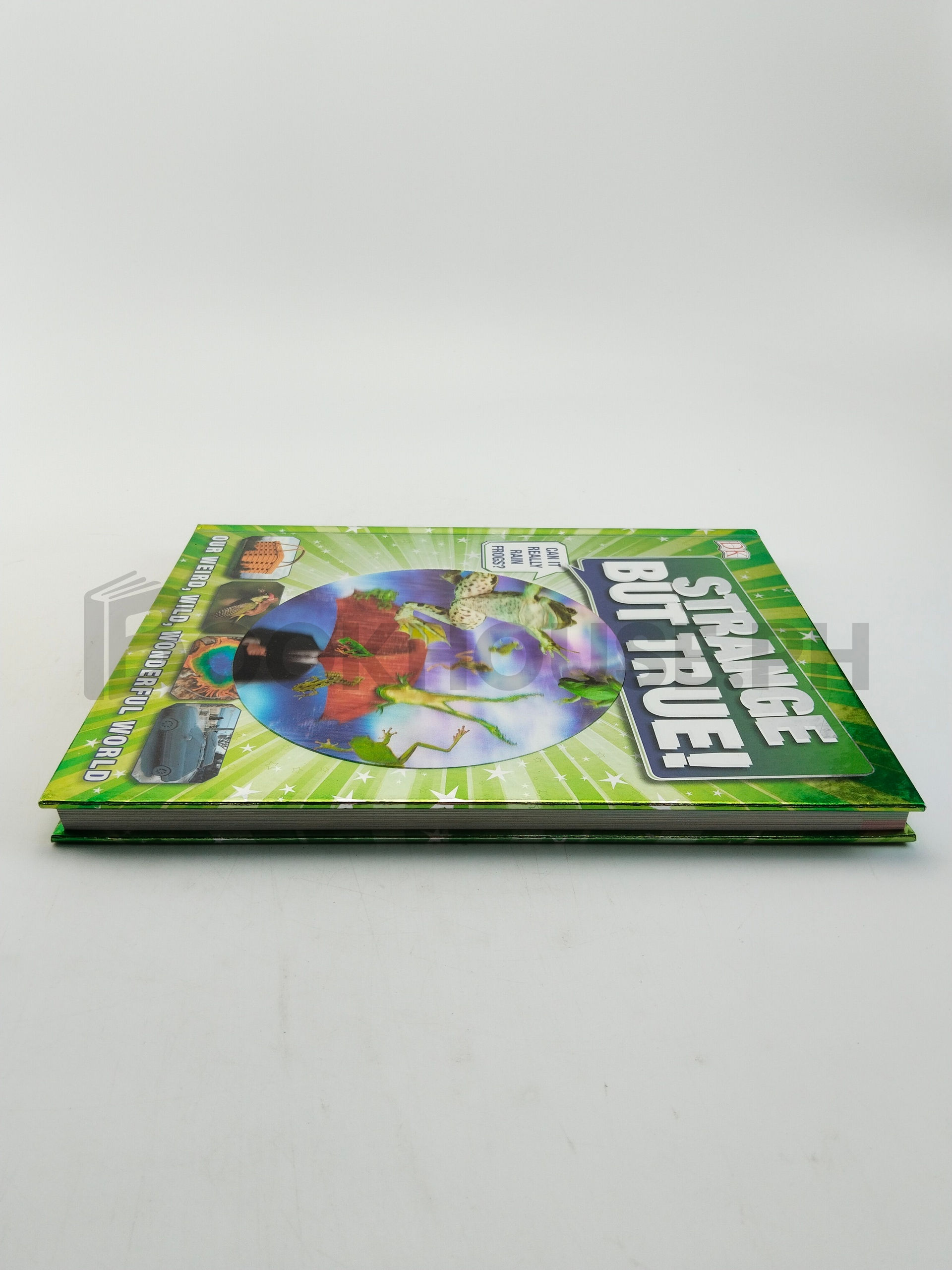 Strange But True! by Andrea Mills - Image 4