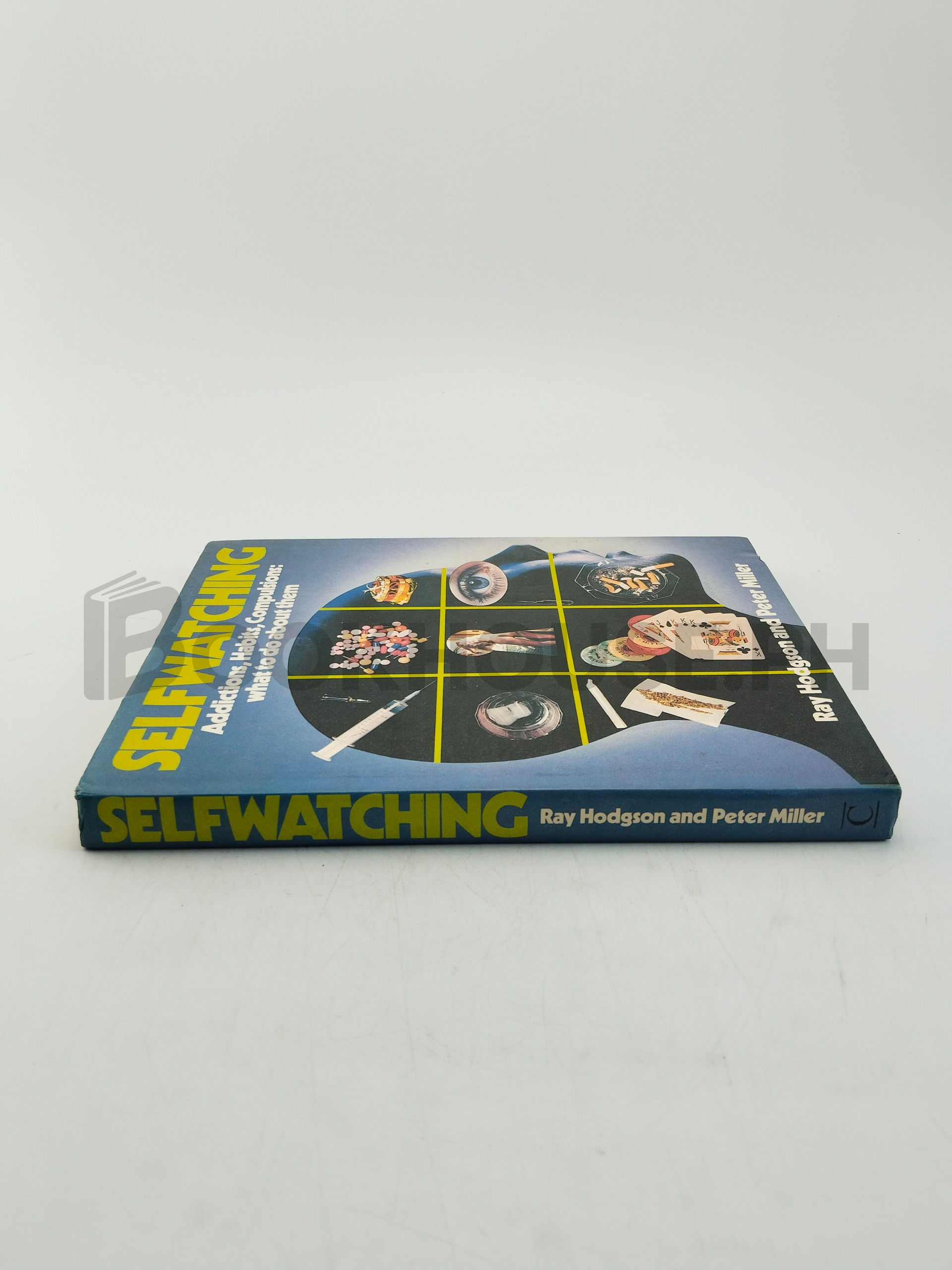 Self Watching by Ray Hodgson And Peter Miller - Image 3