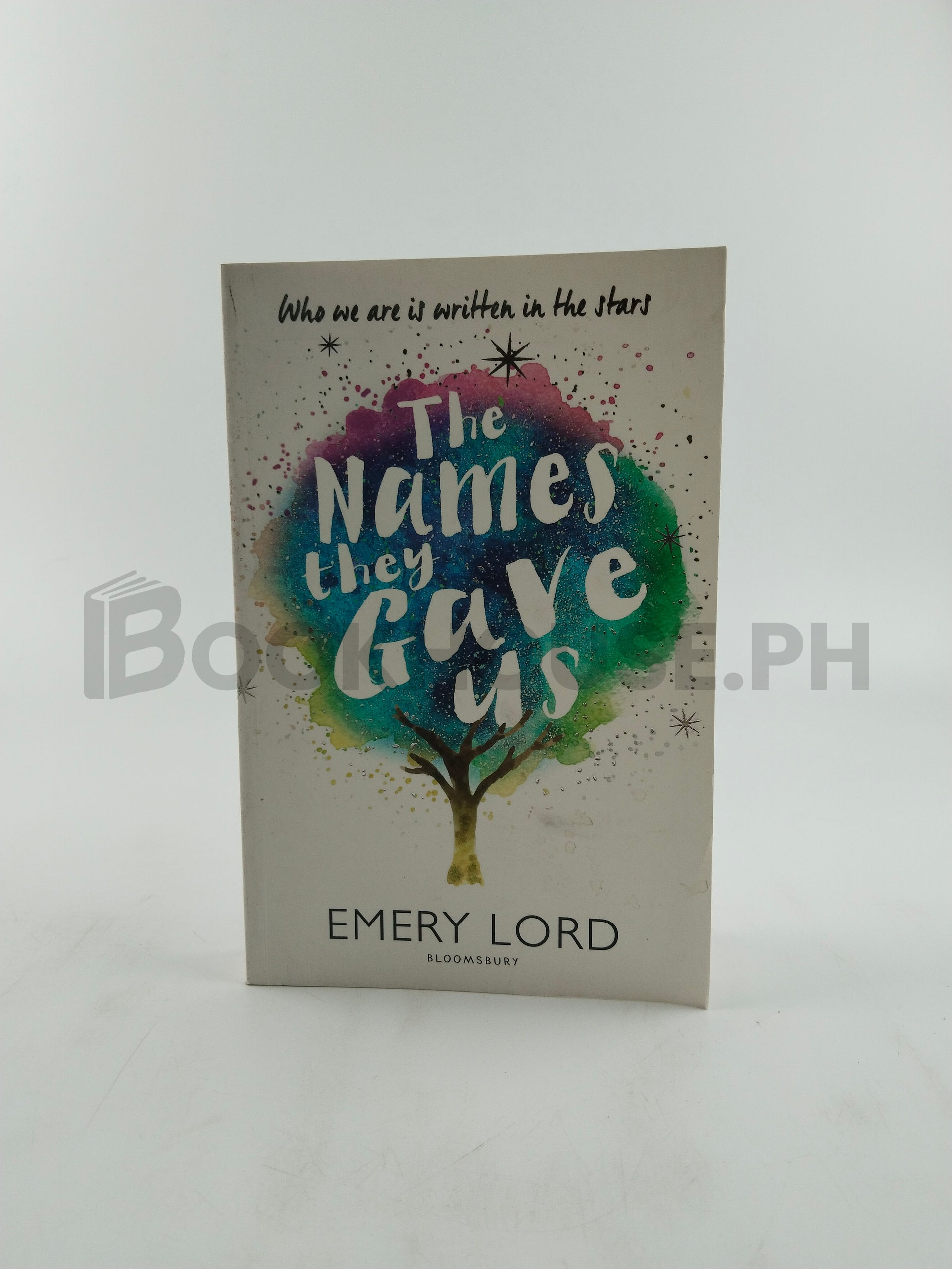 The Names They Gave Us by Emery Lord