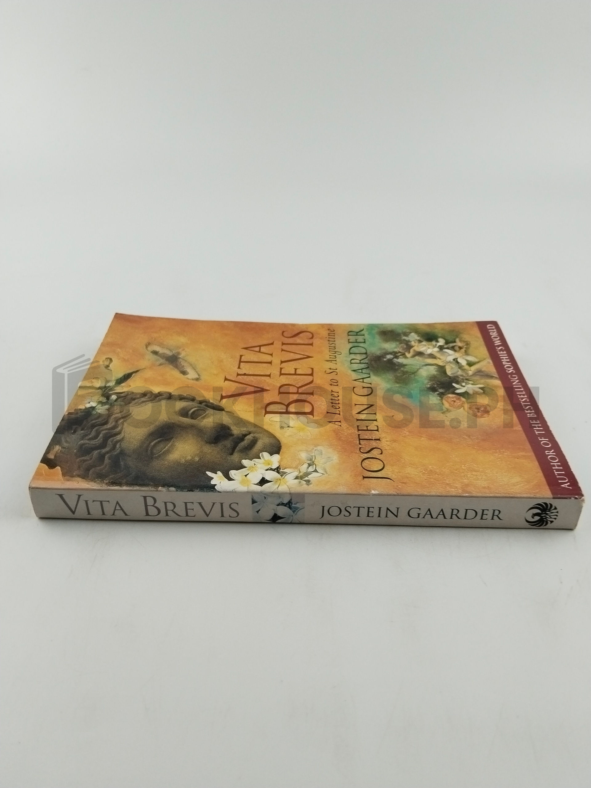 A Letter To Saint Augustine by Jostein Gaarder - Image 3