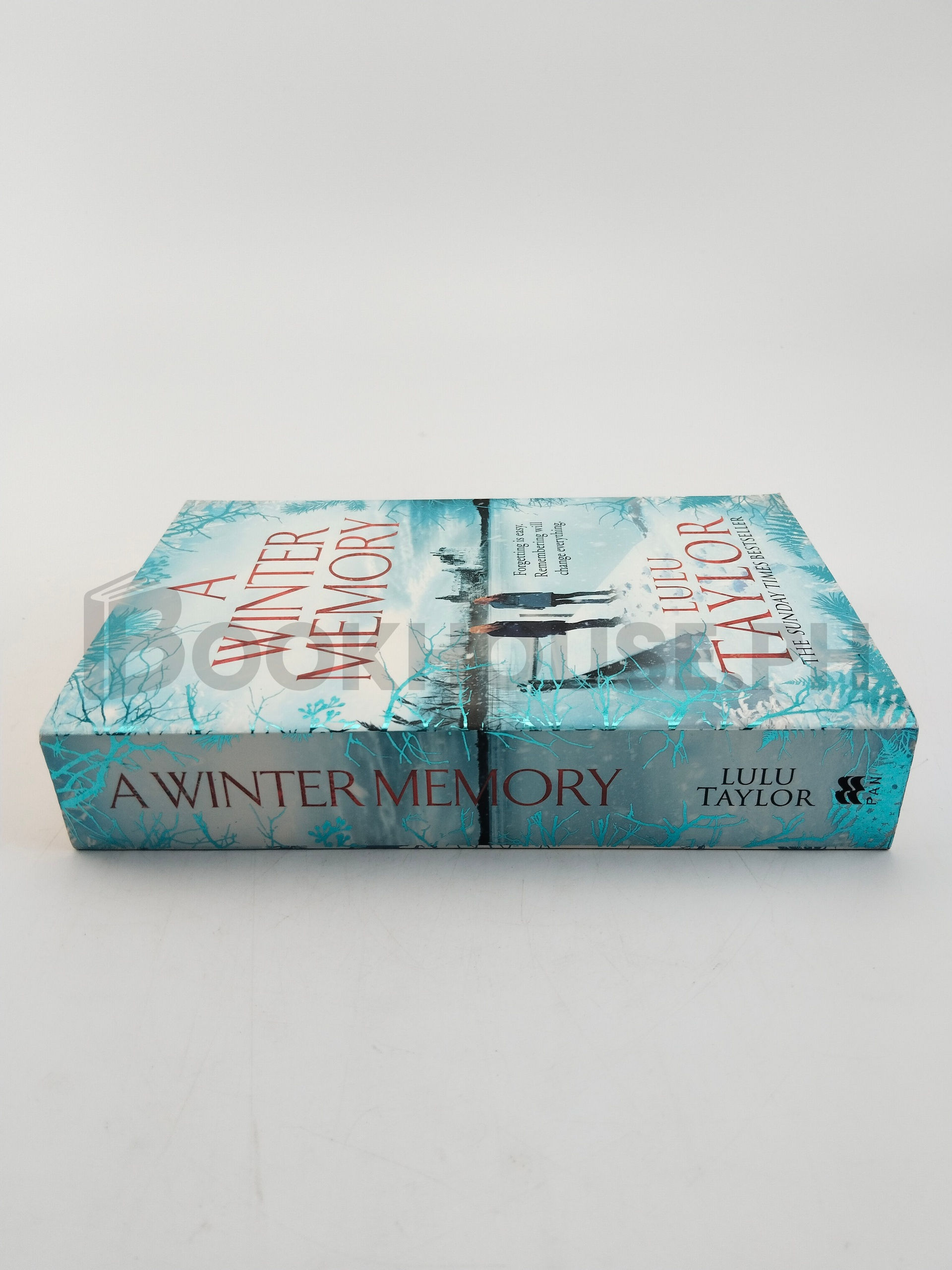 A Winter Memory by Lulu Taylor - Image 3