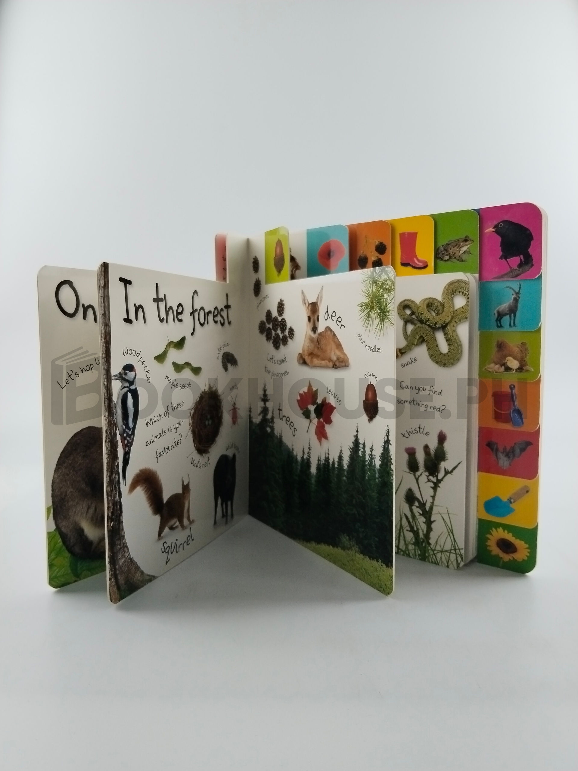 My First Nature by Dorling Kindersley Publishing Staff, Violet Peto - Image 5