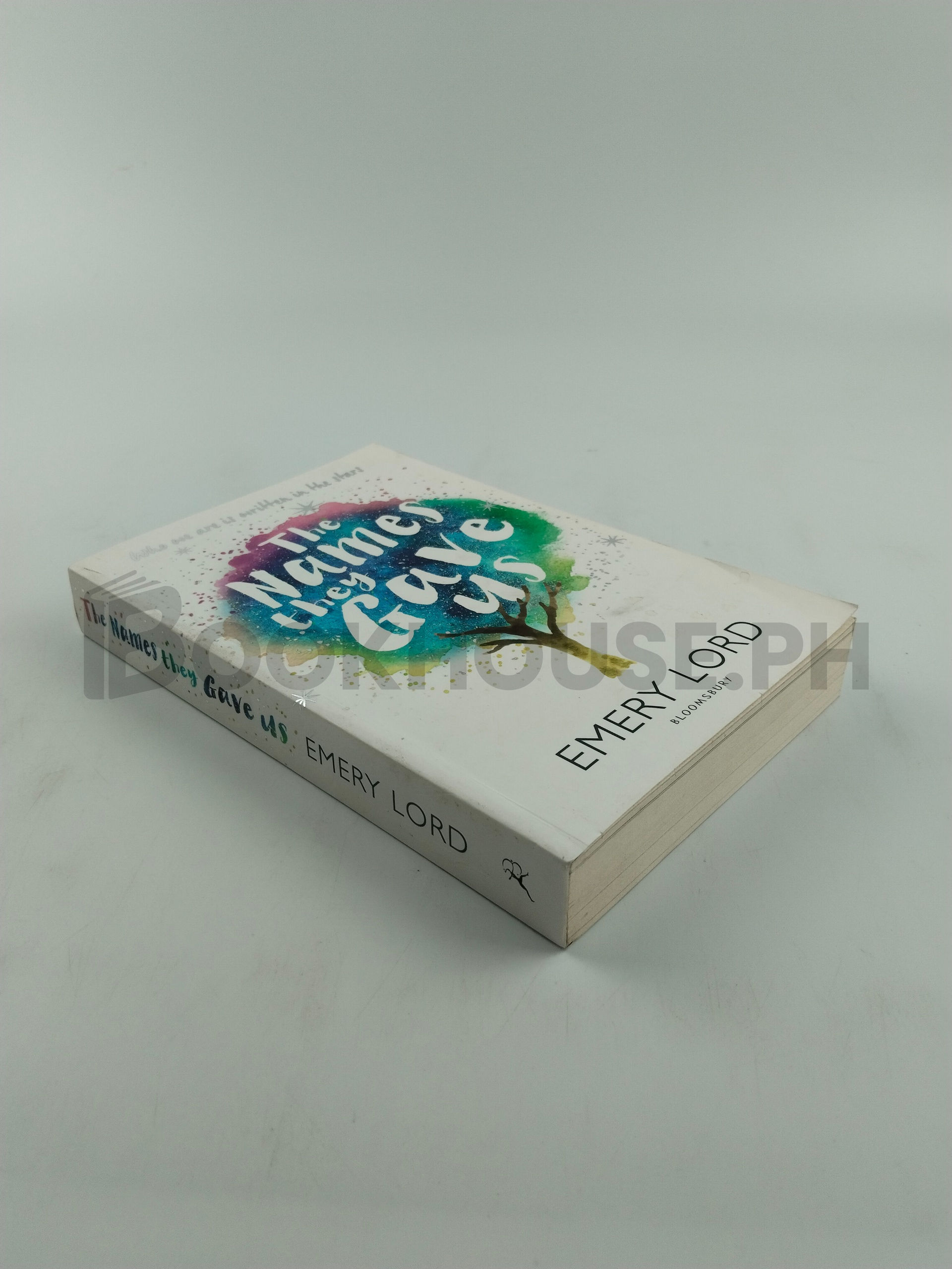 The Names They Gave Us by Emery Lord - Image 2