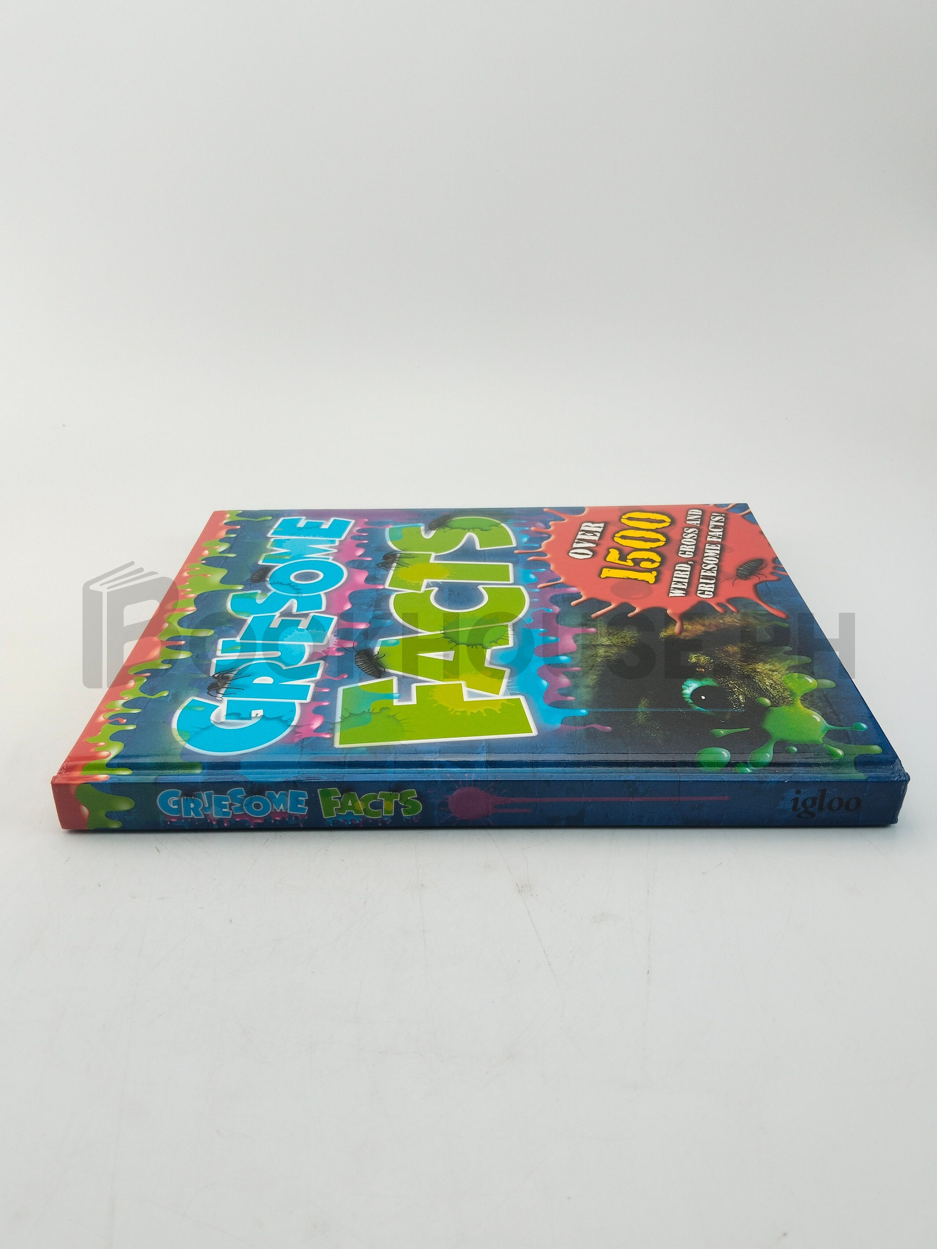 Gruesome Facts by Igloo Books - Image 3