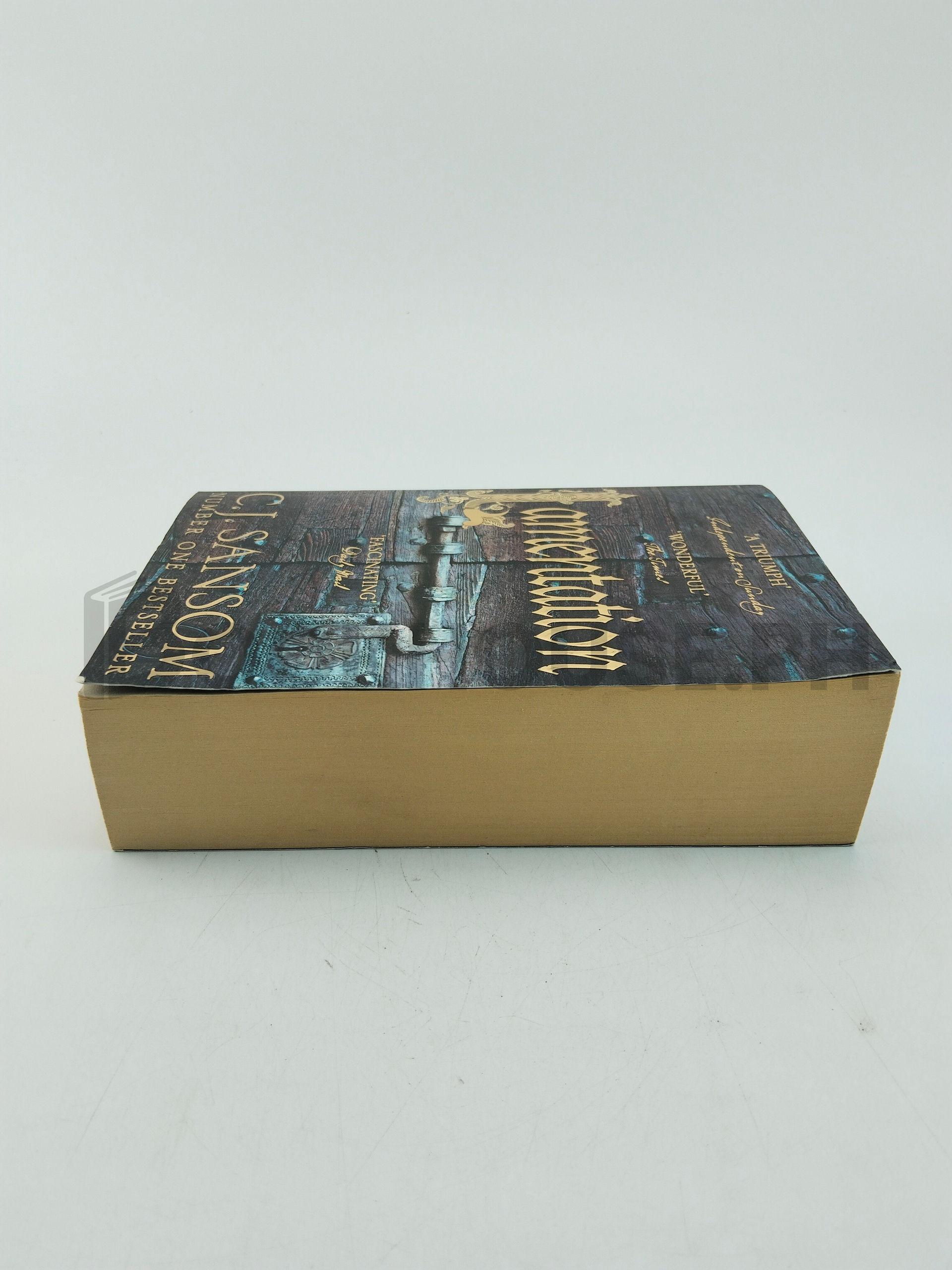 Lamentation by C. J. Sansom - Image 4