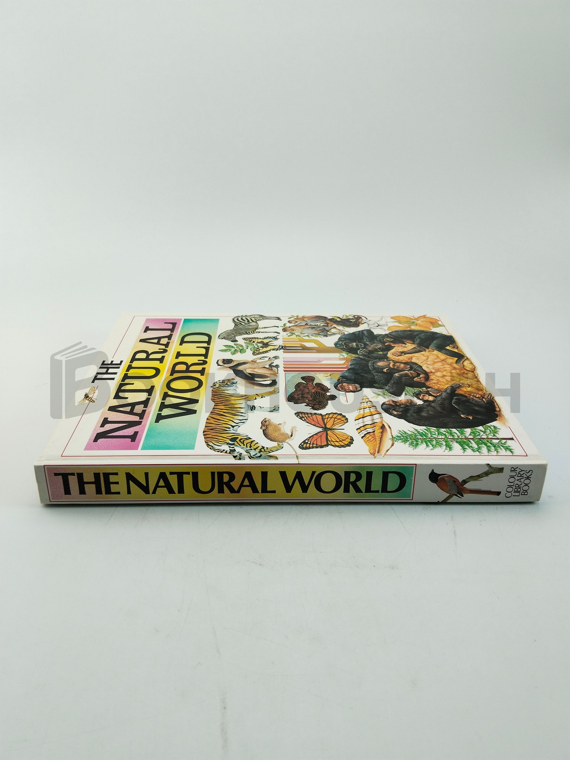The Natural World by Colour Library Books - Image 3