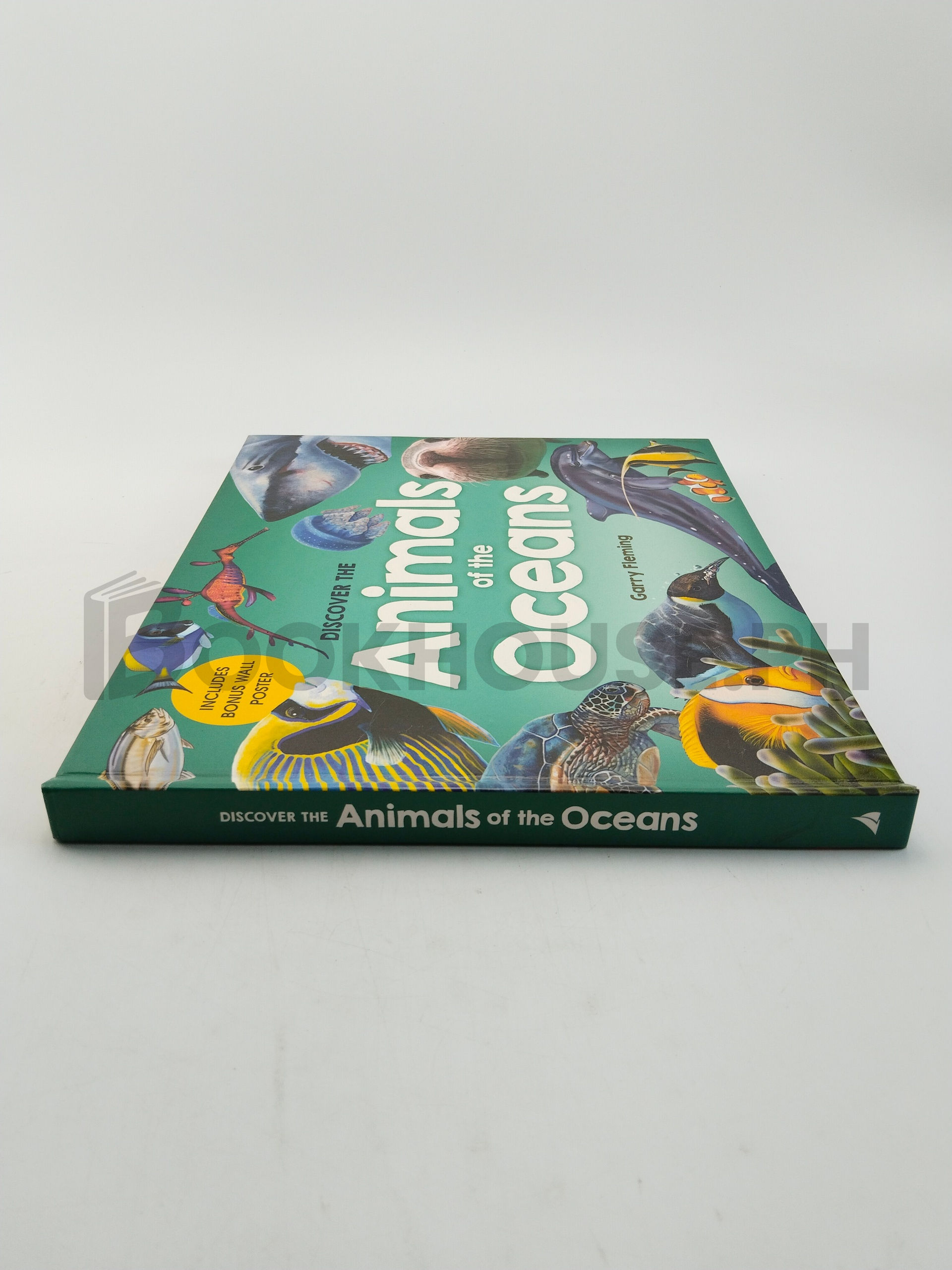 Discover The Animals Of The Ocean by Garry Fleming - Image 3