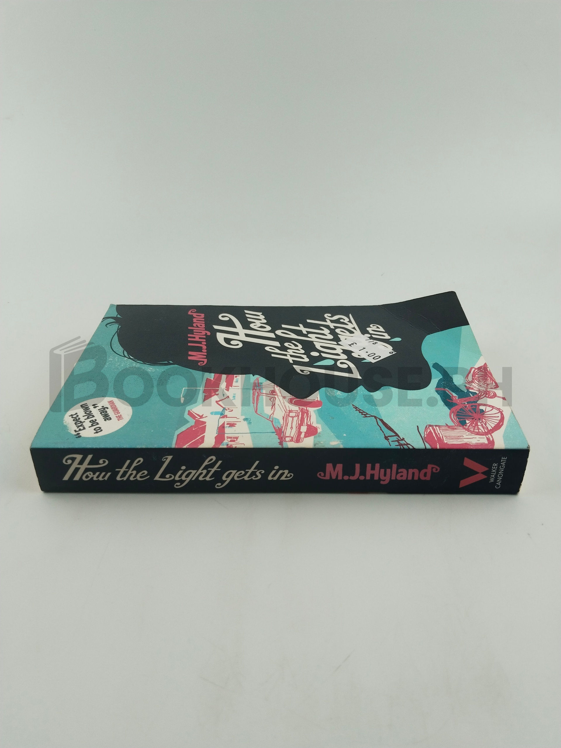 How The Light Gets In by Maria Joan Hyland - Image 3