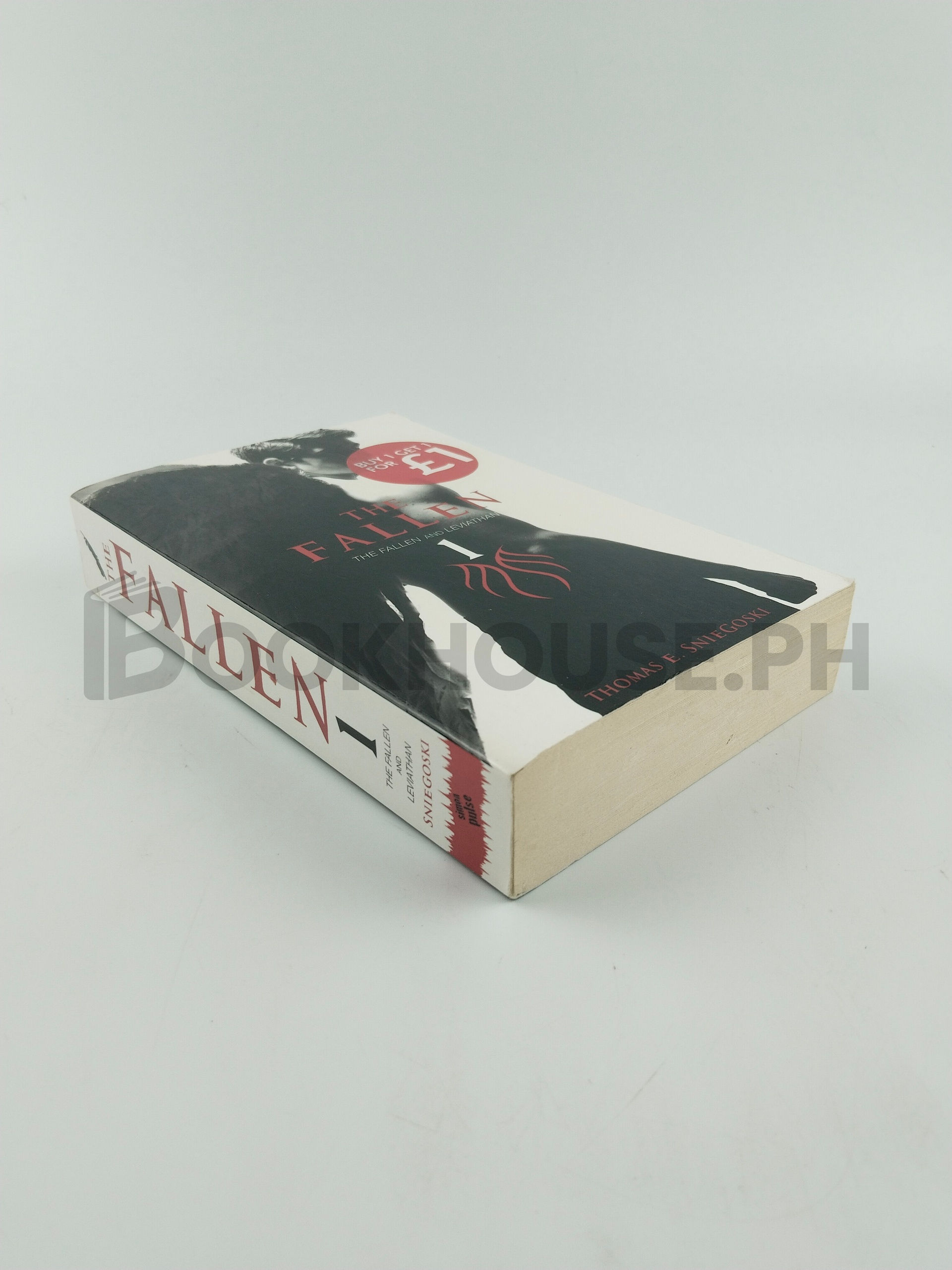 The Fallen And Leviathan by Tom Sniegoski - Image 2