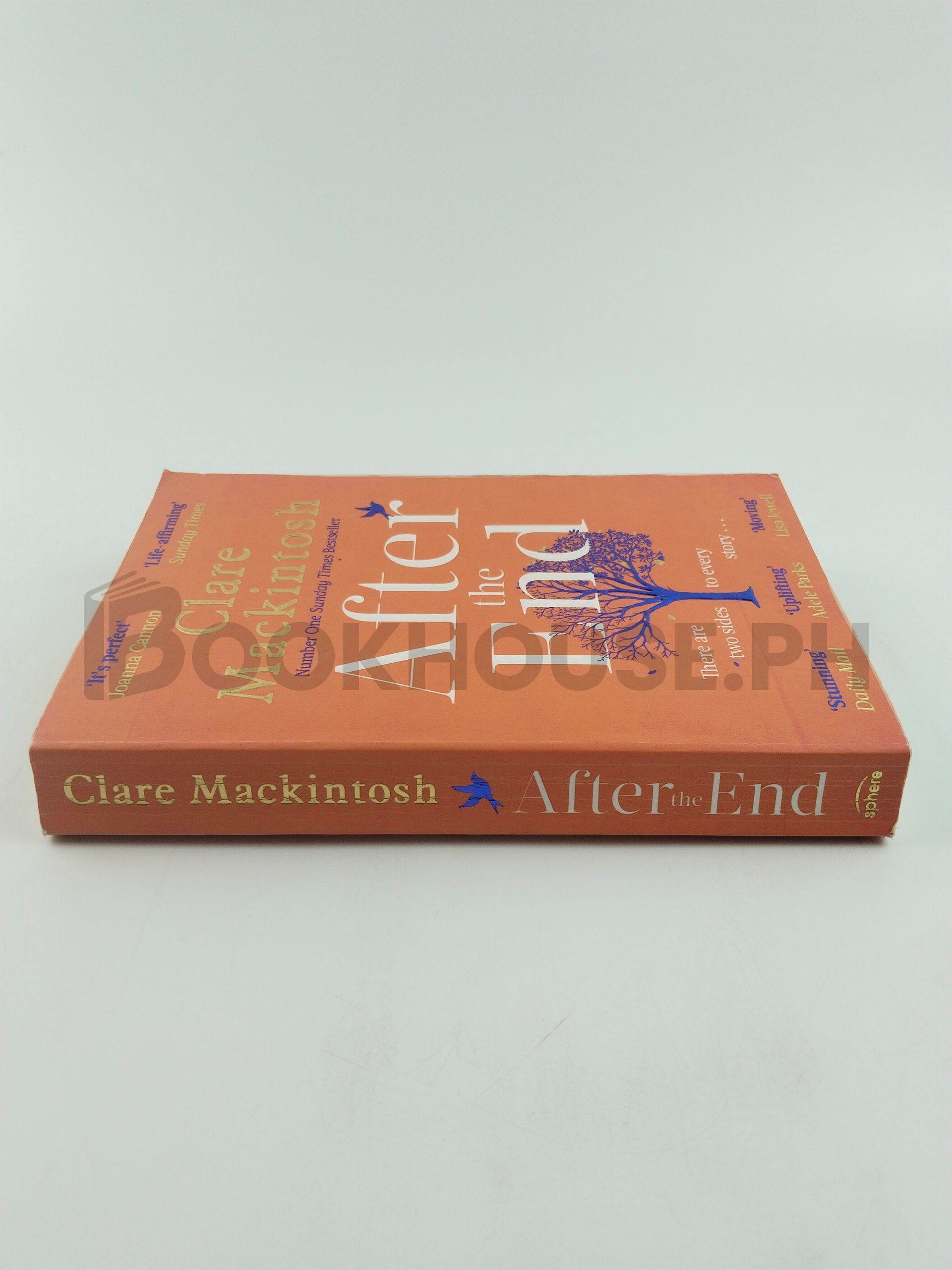 After The End by Clare Mackintosh - Image 3
