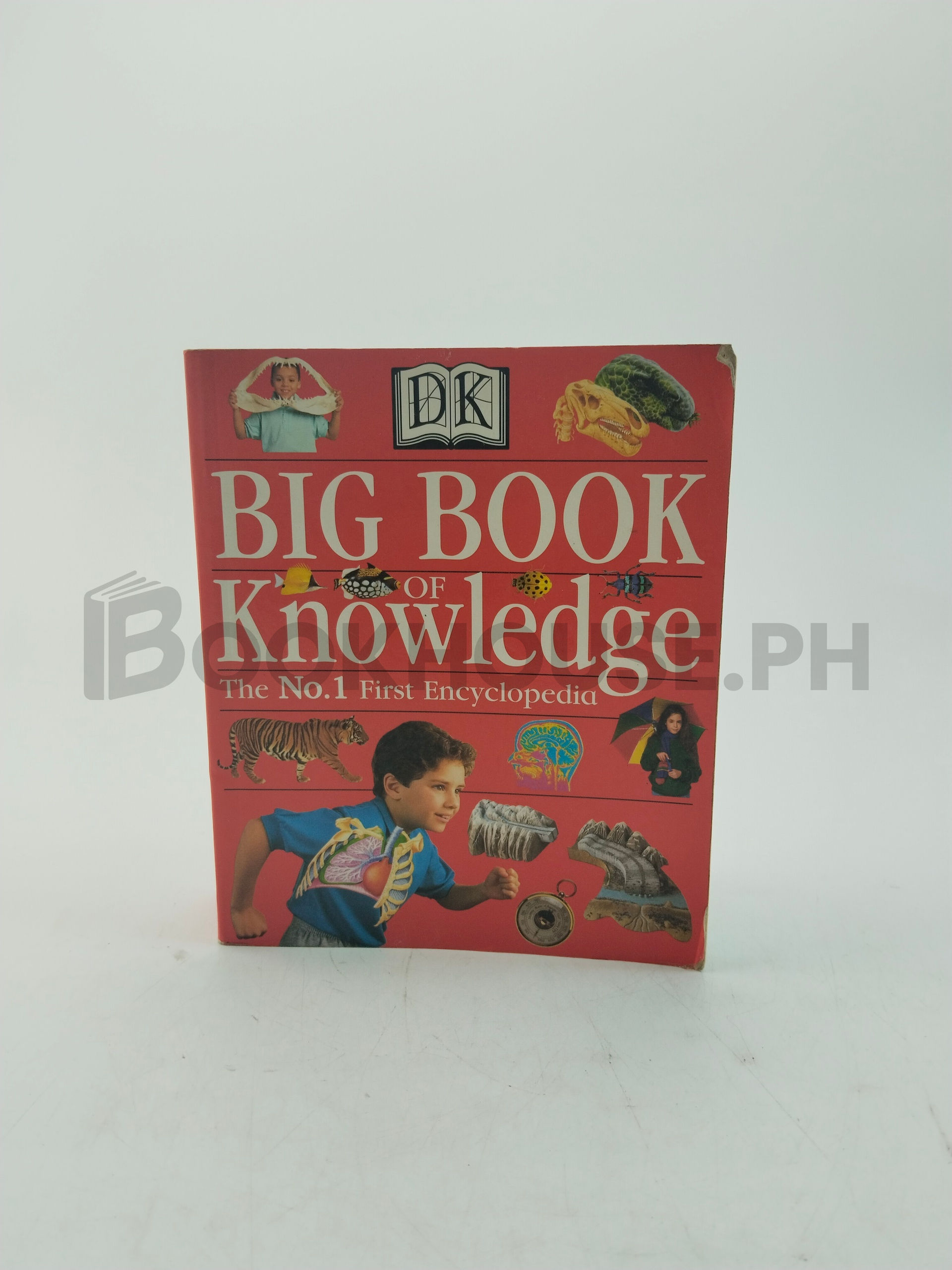 Big Book Of Knowledge by Dk