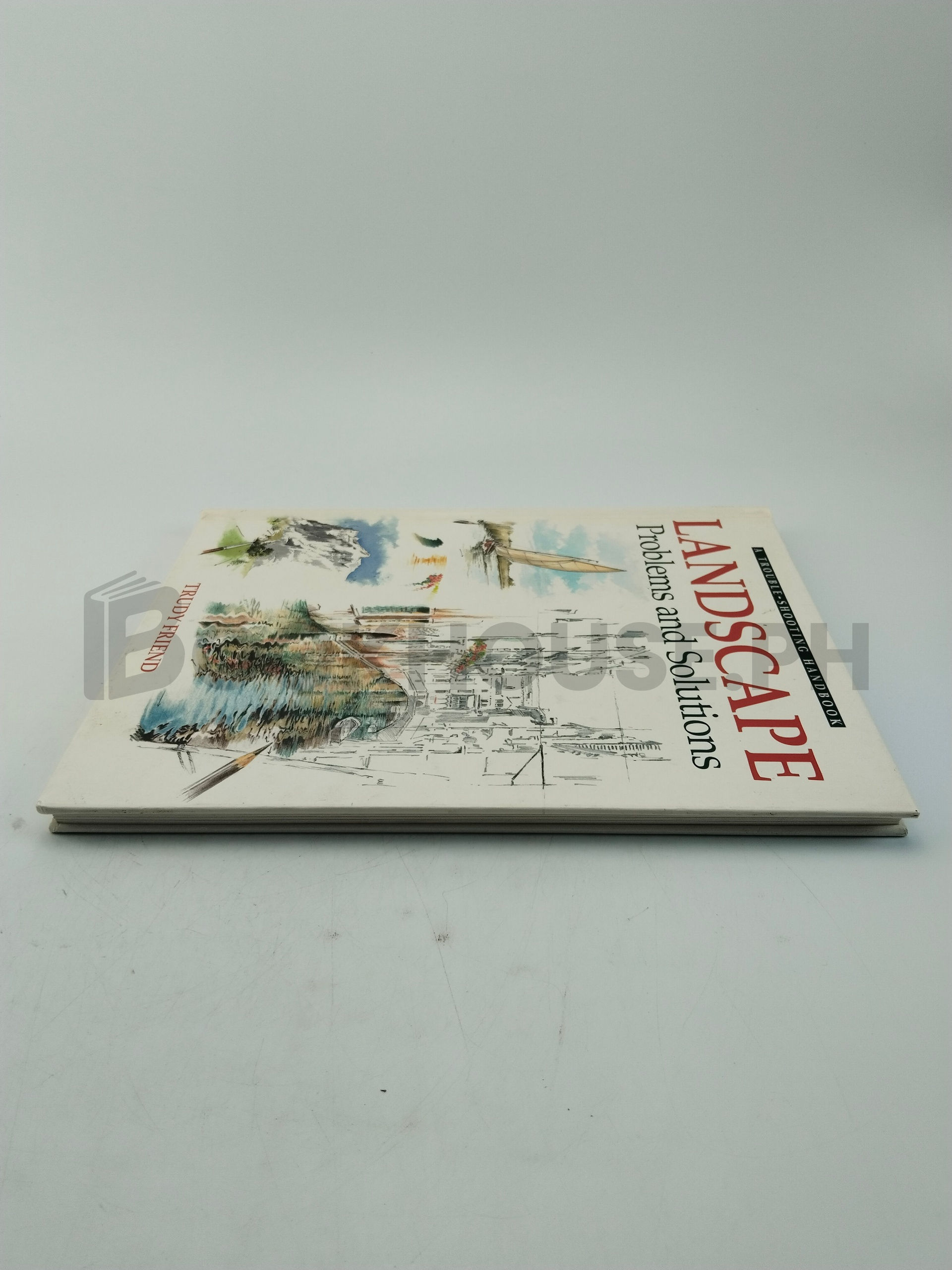 Landscape Problems And Solutions by Trudy Friend - Image 4