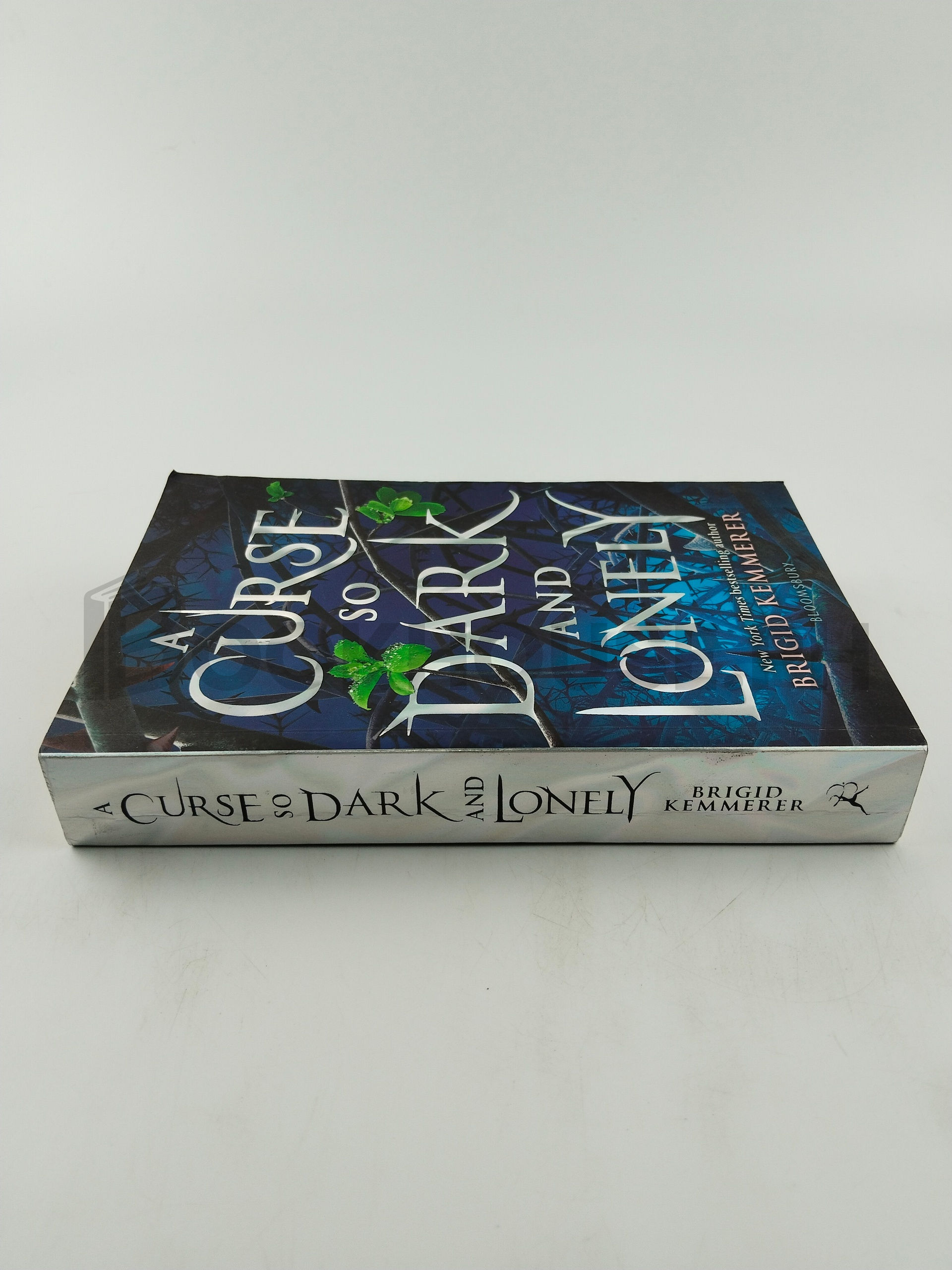 A Curse So Dark And Lonely by Brigid Kemmerer - Image 3