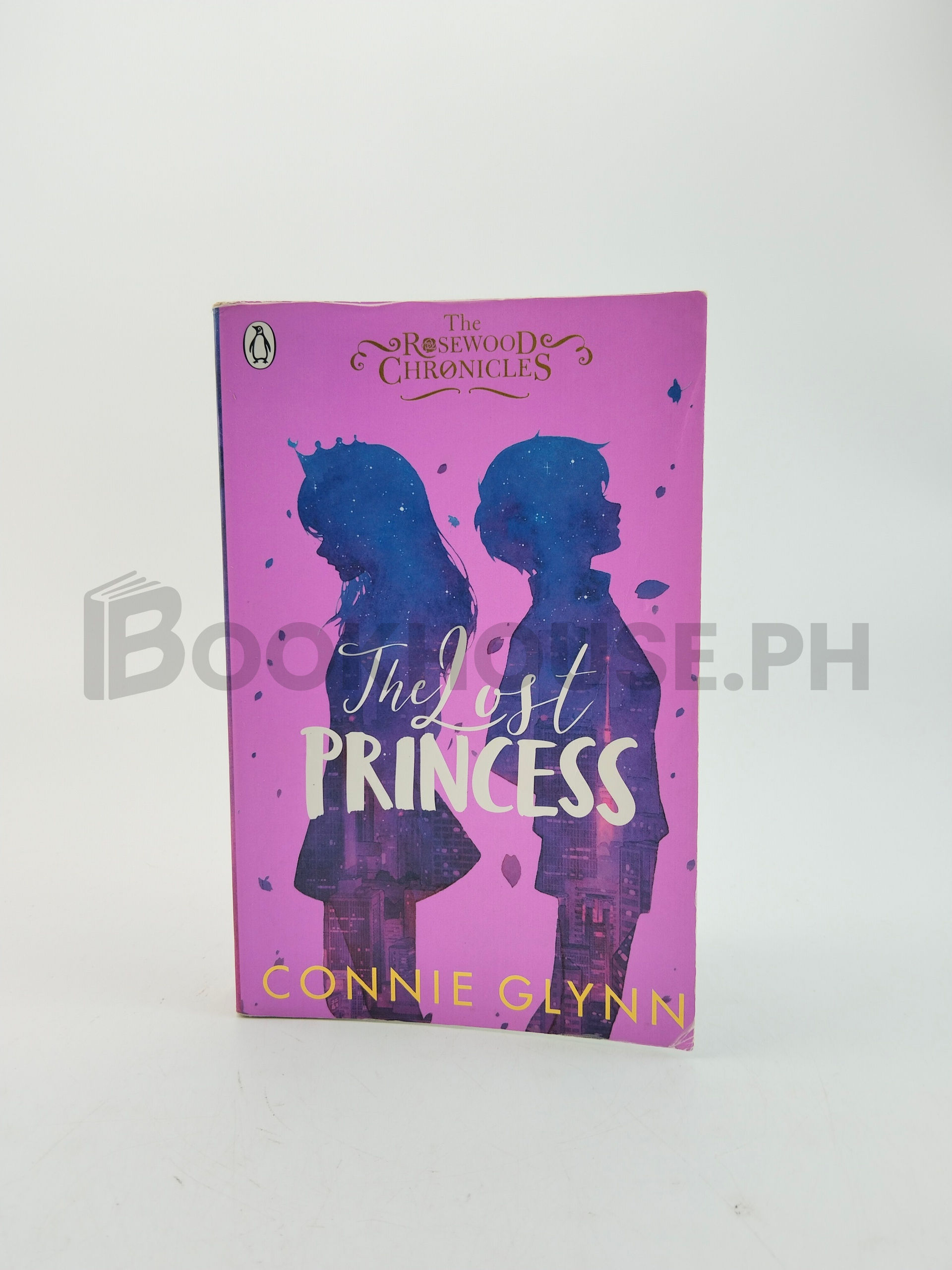 The Lost Princess by Connie Glynn