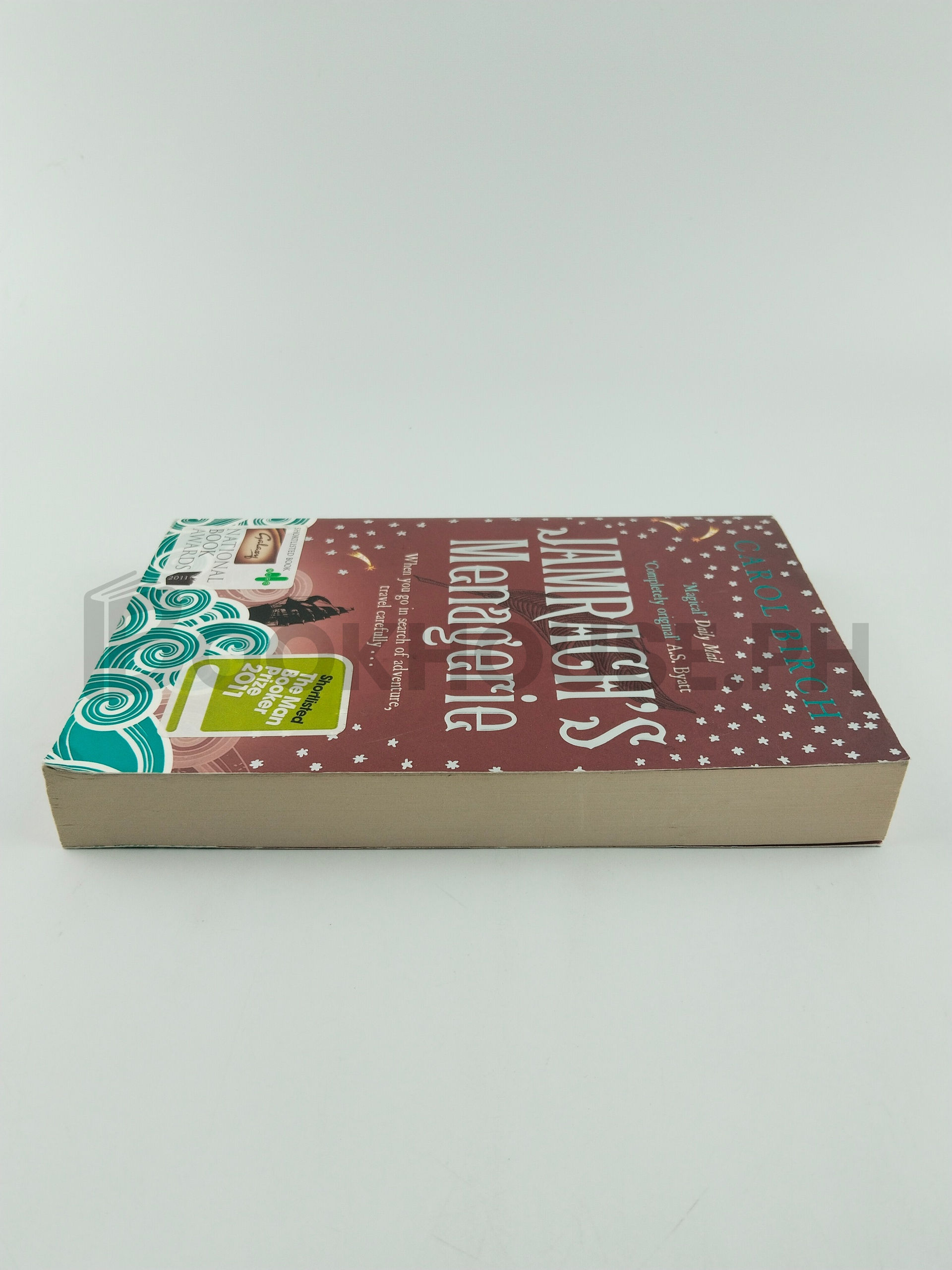 Jamrach's Menagerie by Carol Birch - Image 4