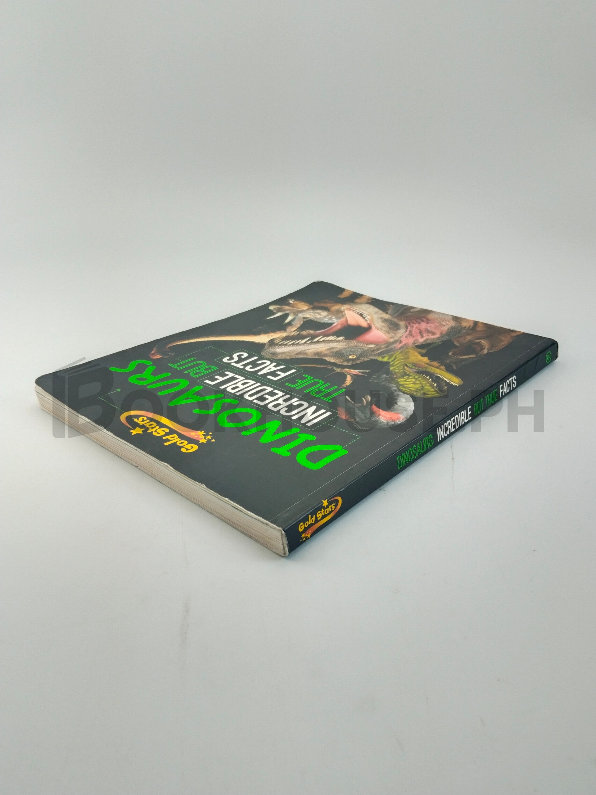 Dinosaurs by Robyn Newton, Nicola Barber, Elena Horas - Image 2