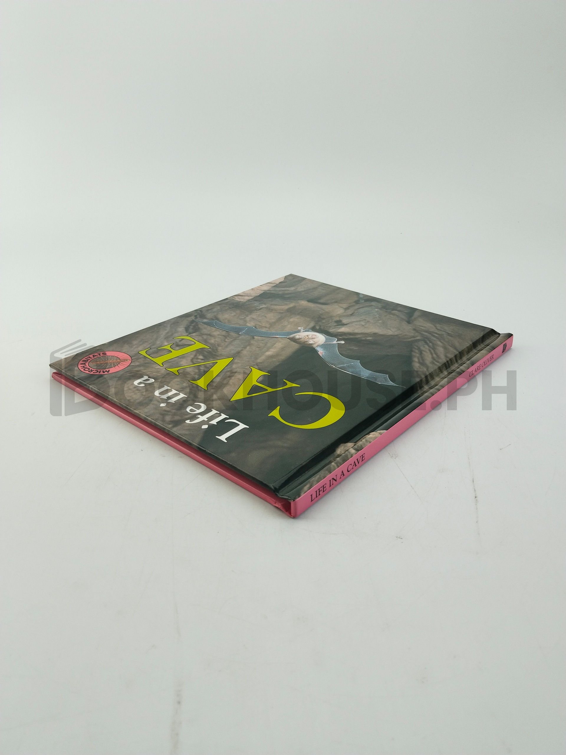 Life In A Cave by Clare Oliver - Image 2