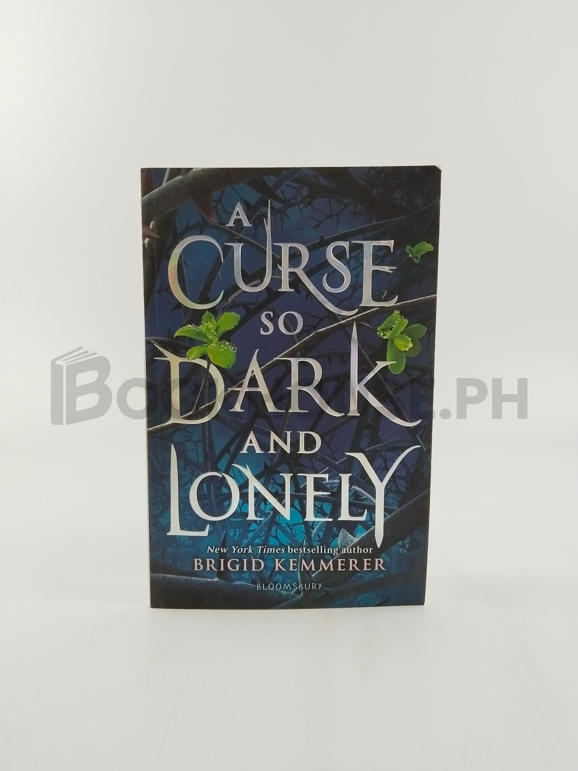 A Curse So Dark And Lonely by Brigid Kemmerer