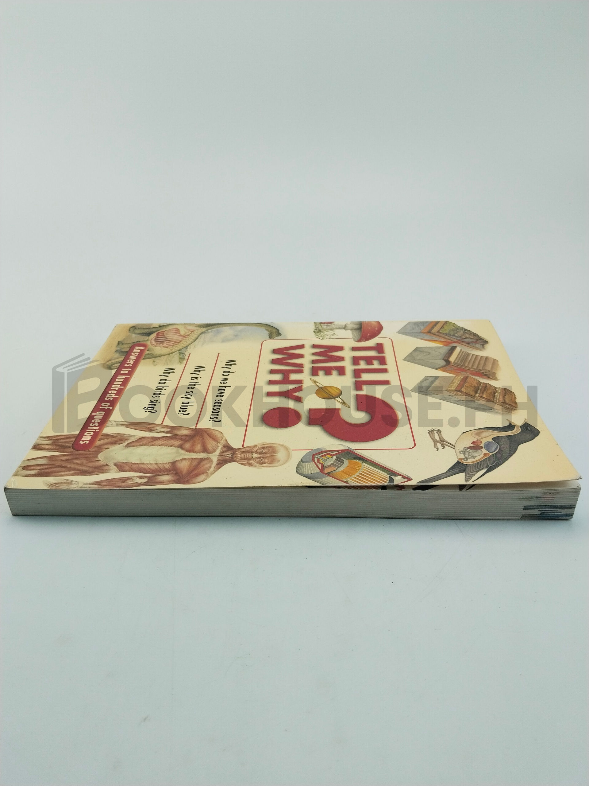 Tell Me Why? by Bounty Books, Robyn Templeton - Image 4