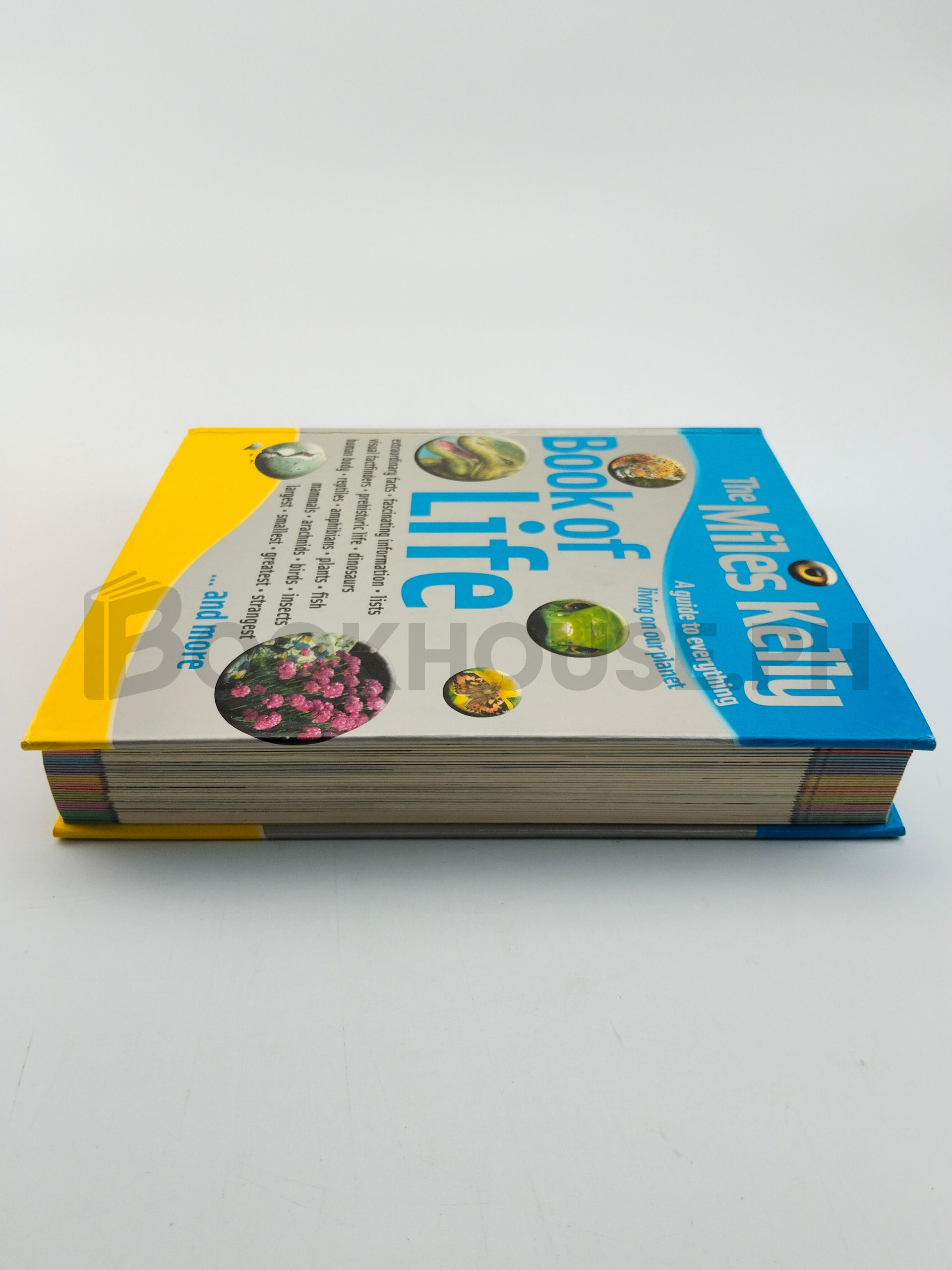 The Miles Kelly Book Of Life by Miles Kelly Publishing Ltd - Image 4