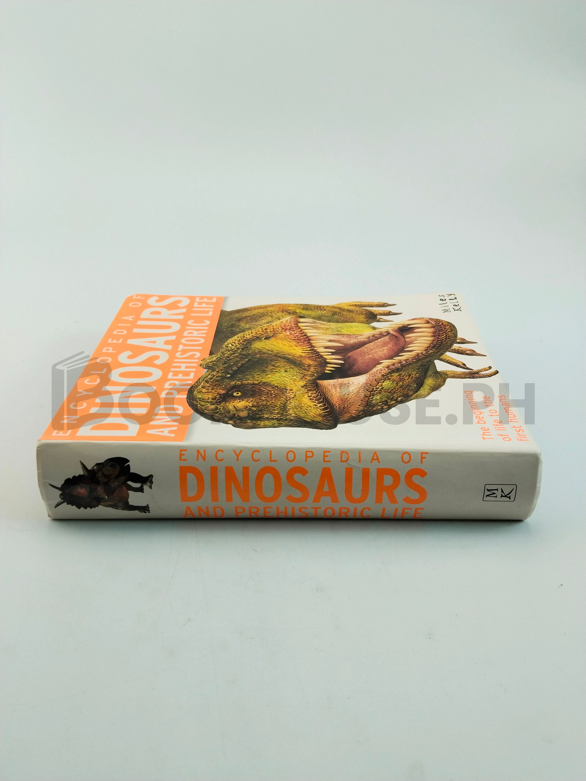 Dinosaurs And Prehistoric Life by Miles Kelly - Image 3