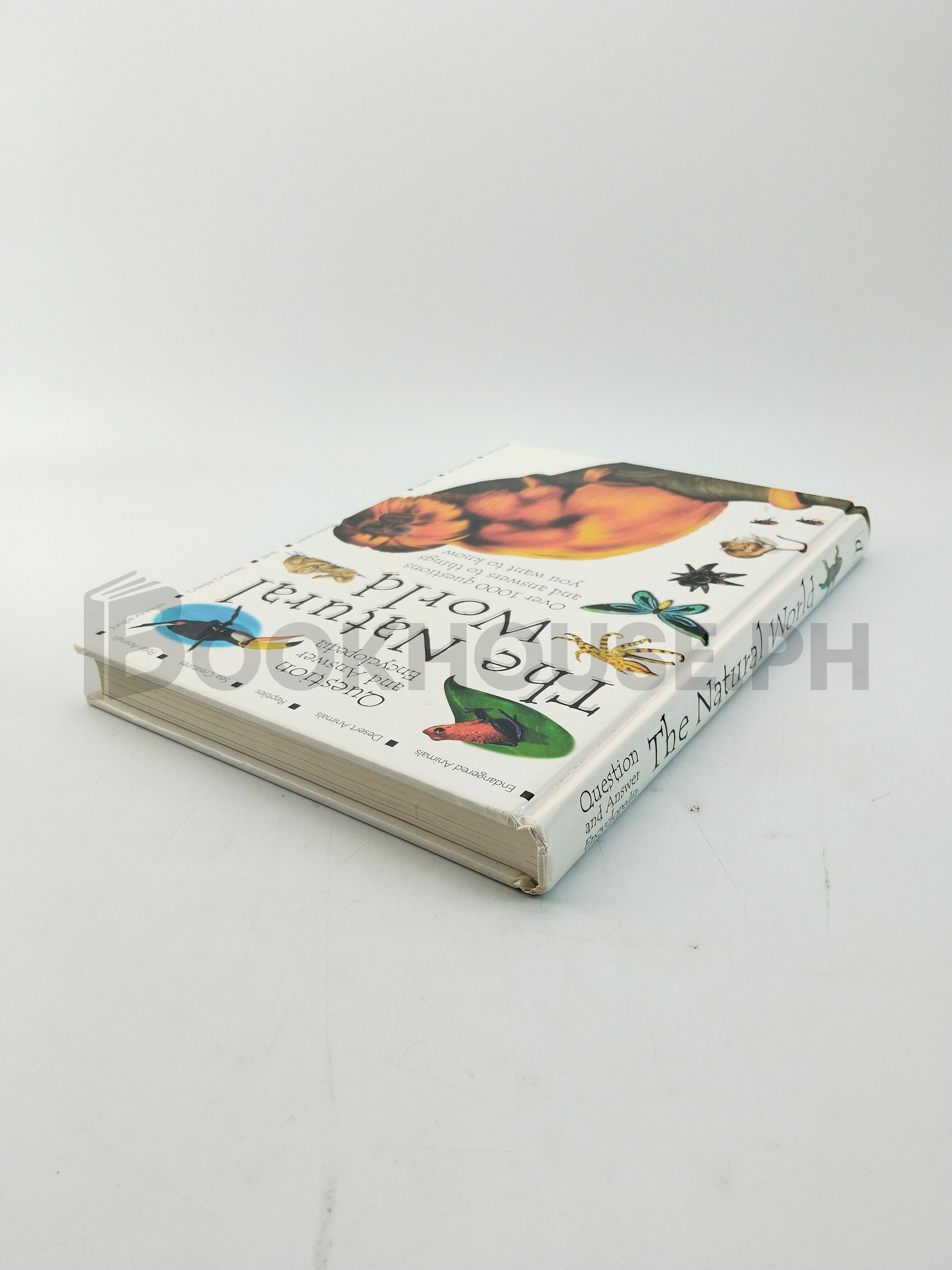 Q & A Natural World by Parragon Queen Street House - Image 2