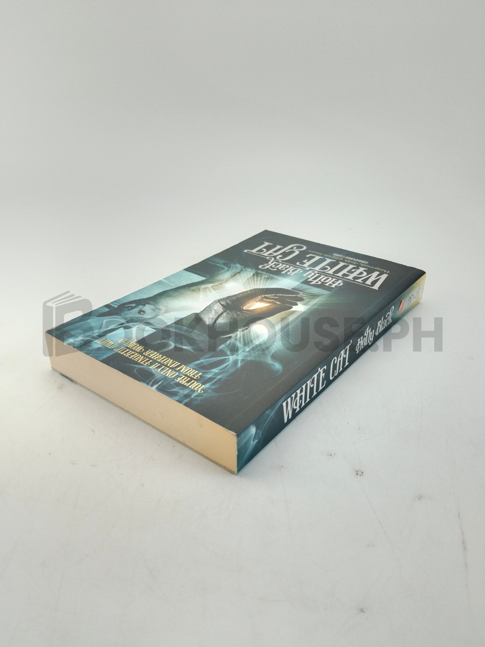 White Cat by Holly Black - Image 2