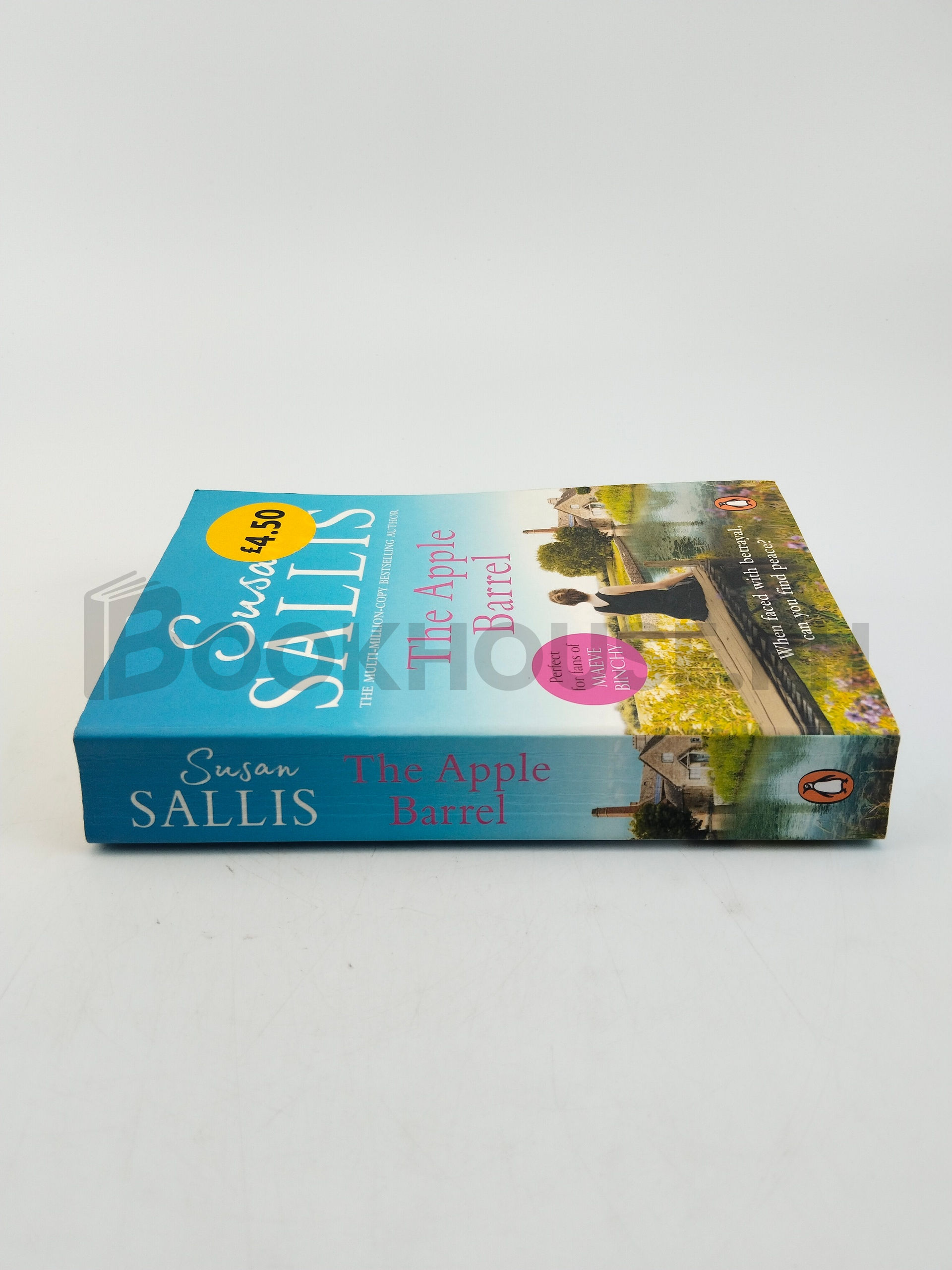 The Apple Barrel by Susan Sallis - Image 3