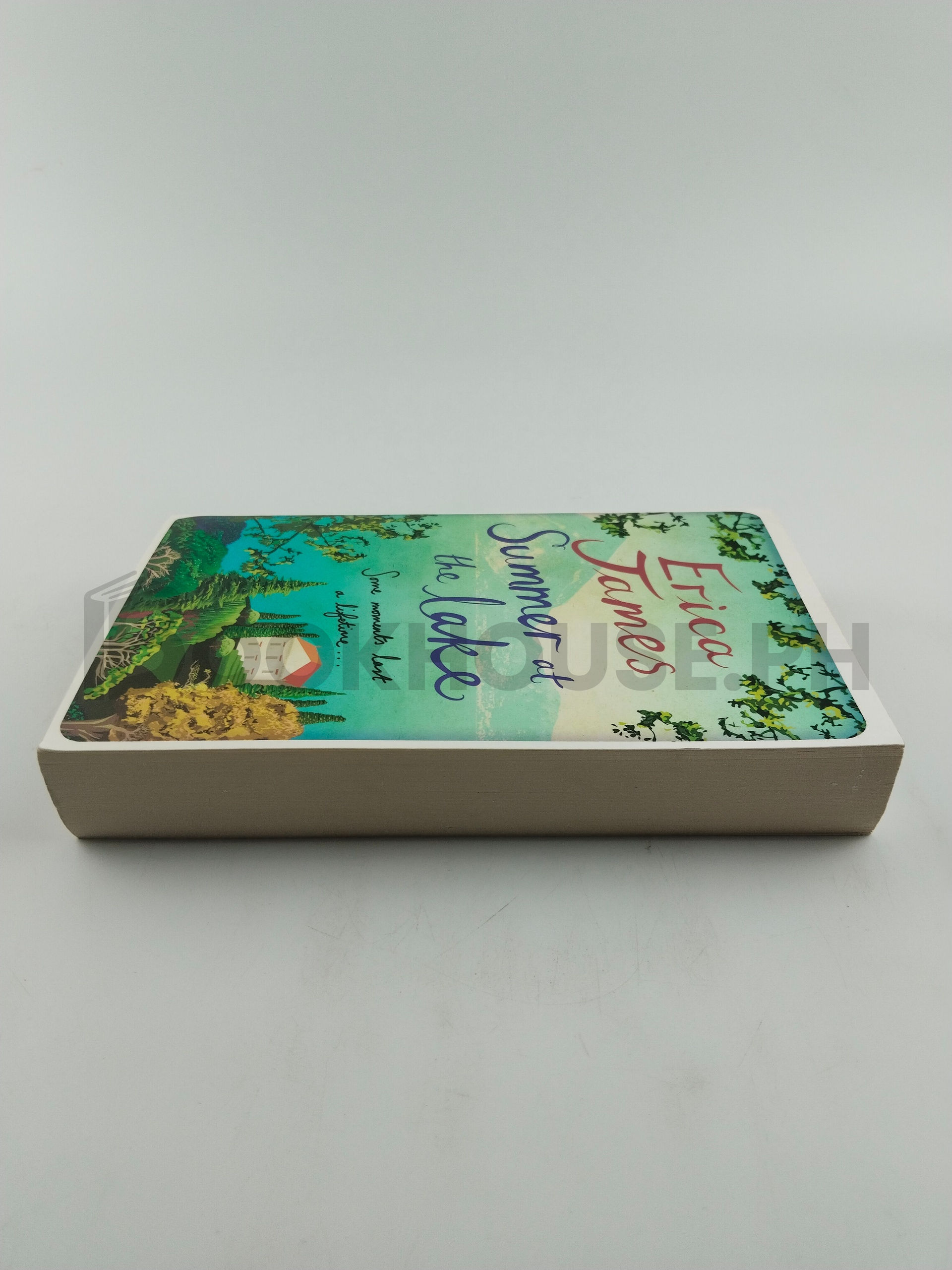 Summer At The Lake by Erica James - Image 4