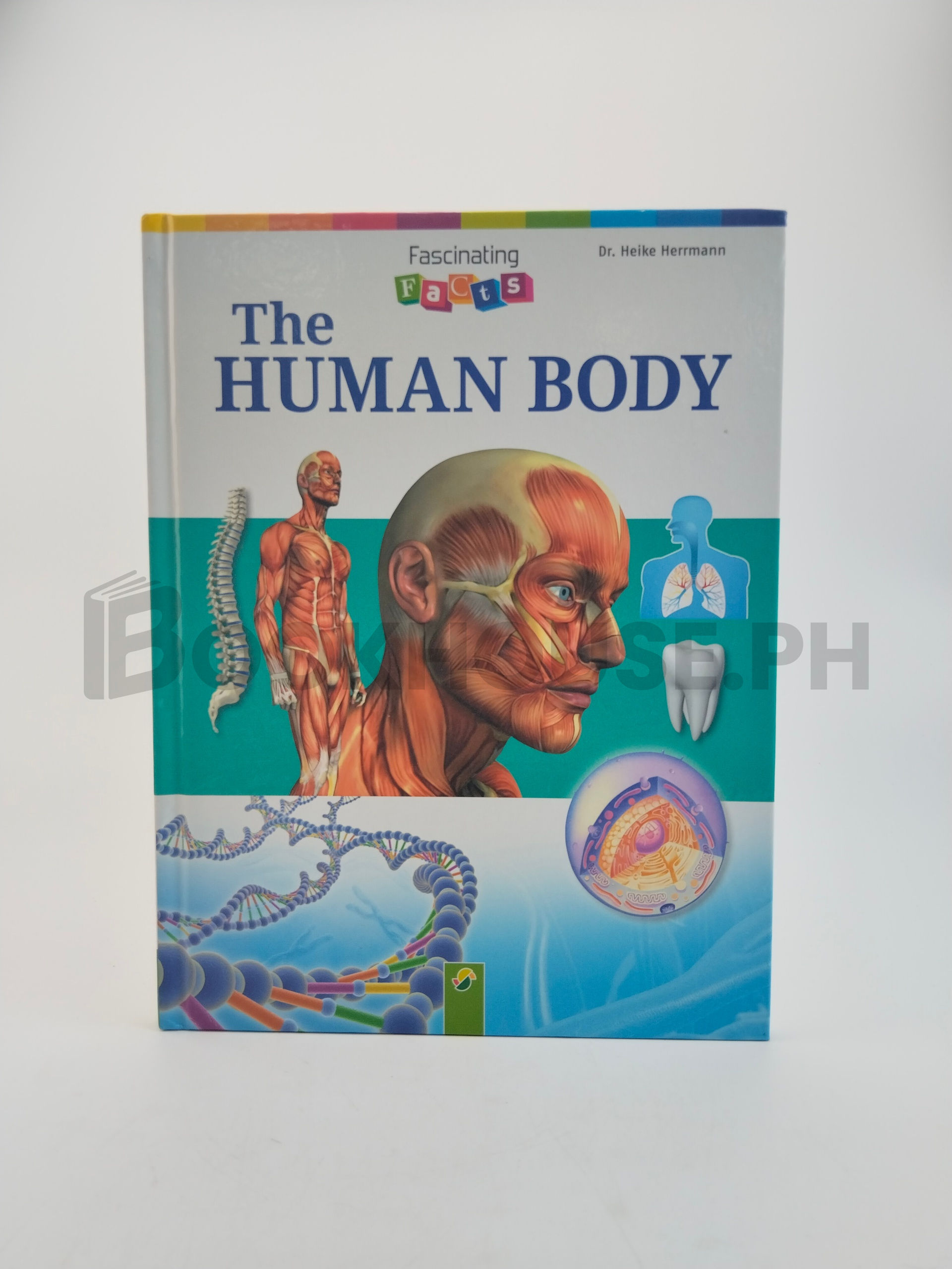 The Human Body by Heike Herrmann