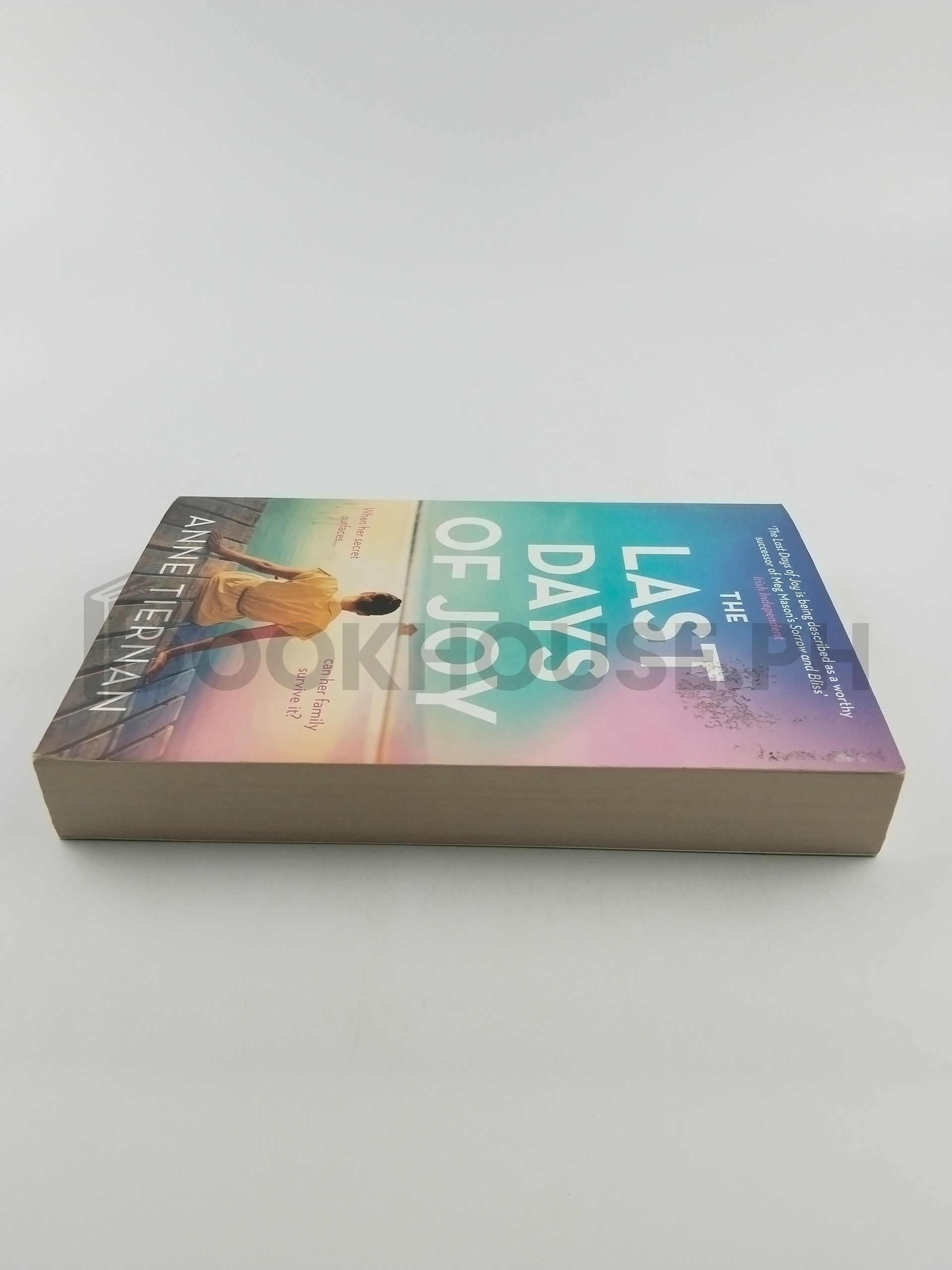 The Last Days Of Joy: The Bestselling Novel Of A Simmering Family Secret by Anne Tiernan - Image 4