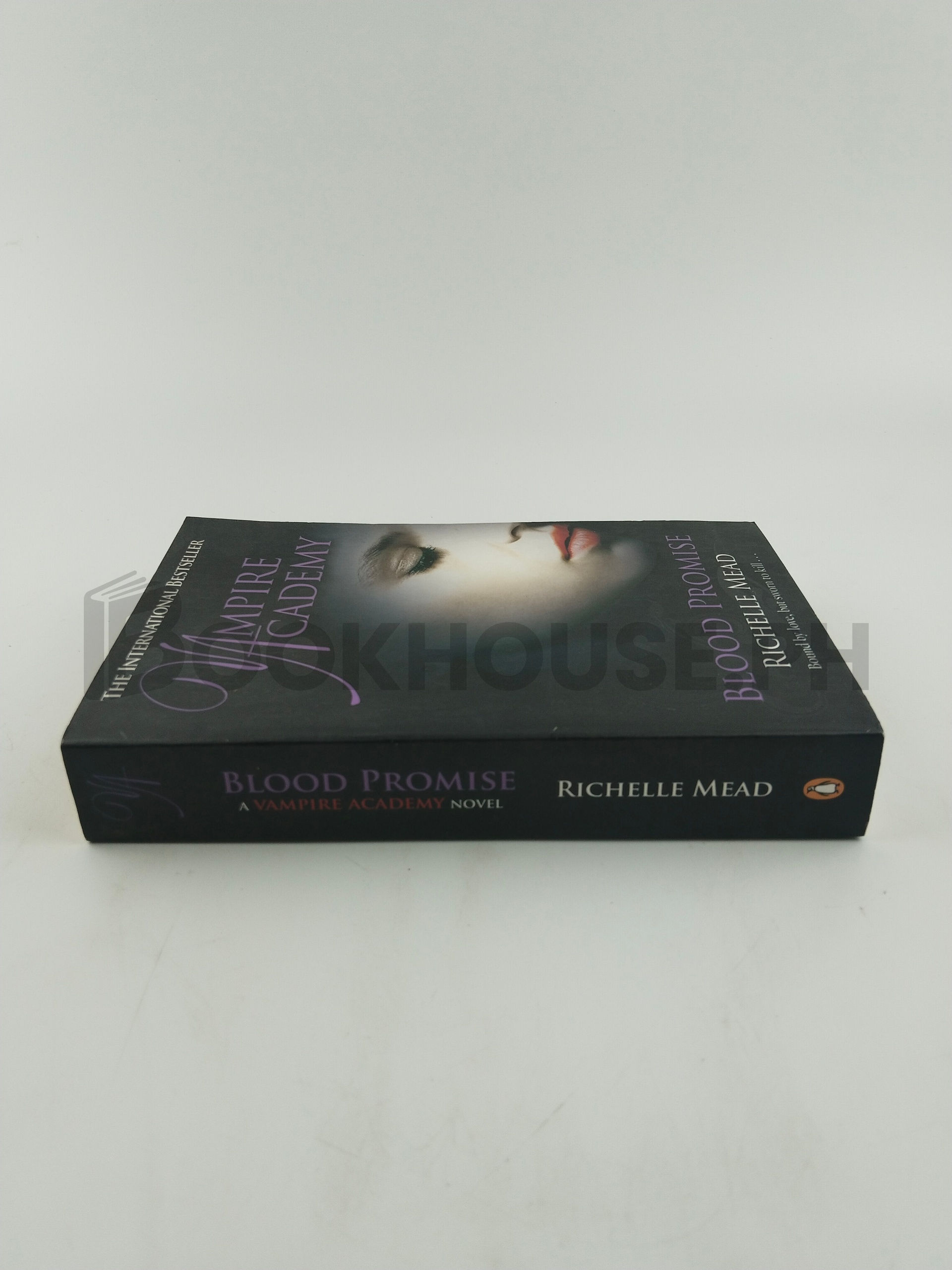 Vampire Academy by Richelle Mead - Image 3