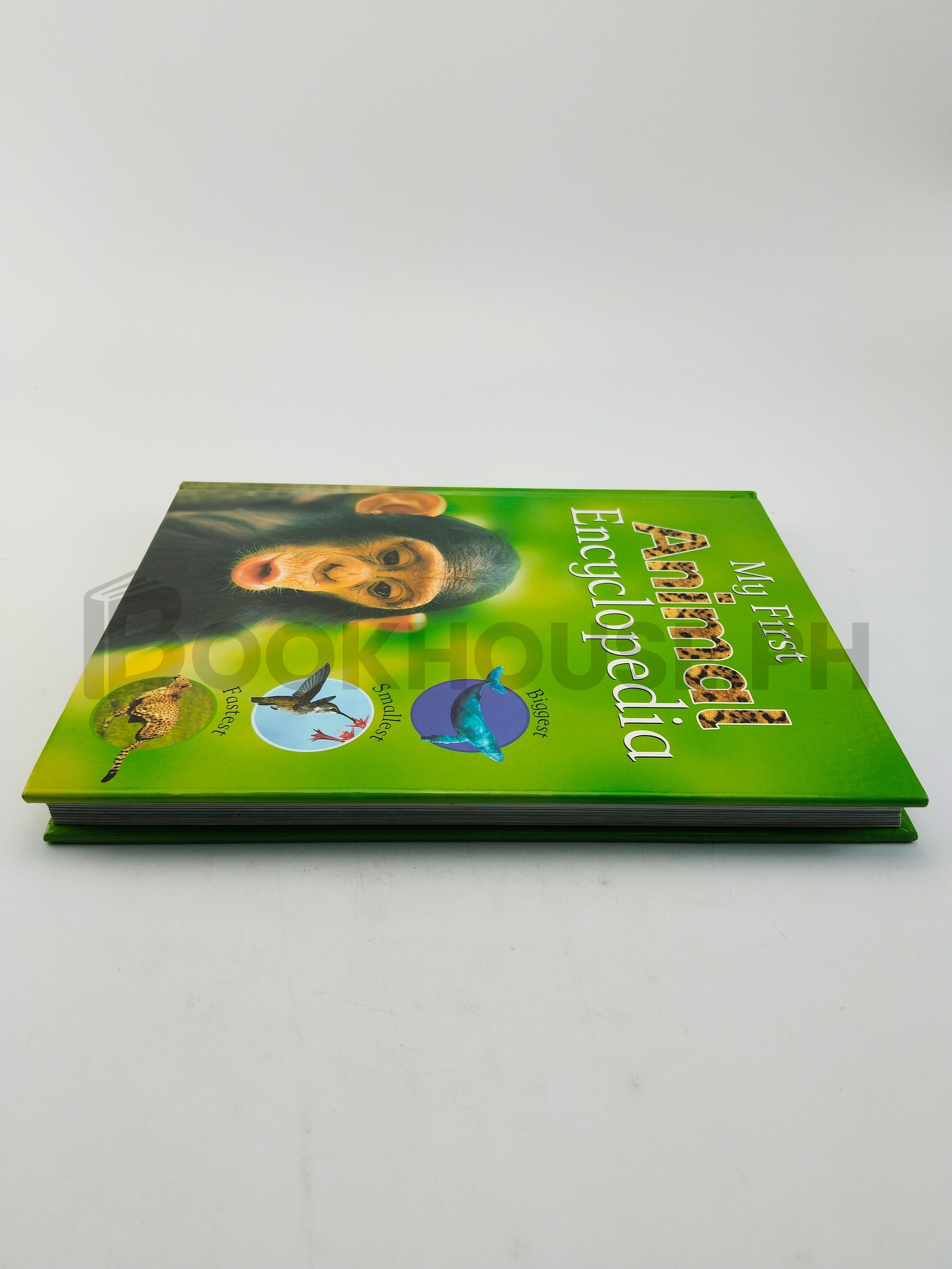 My First Animal Encyclopedia by Parragon Book Service Limited, Sally Morgan - Image 4
