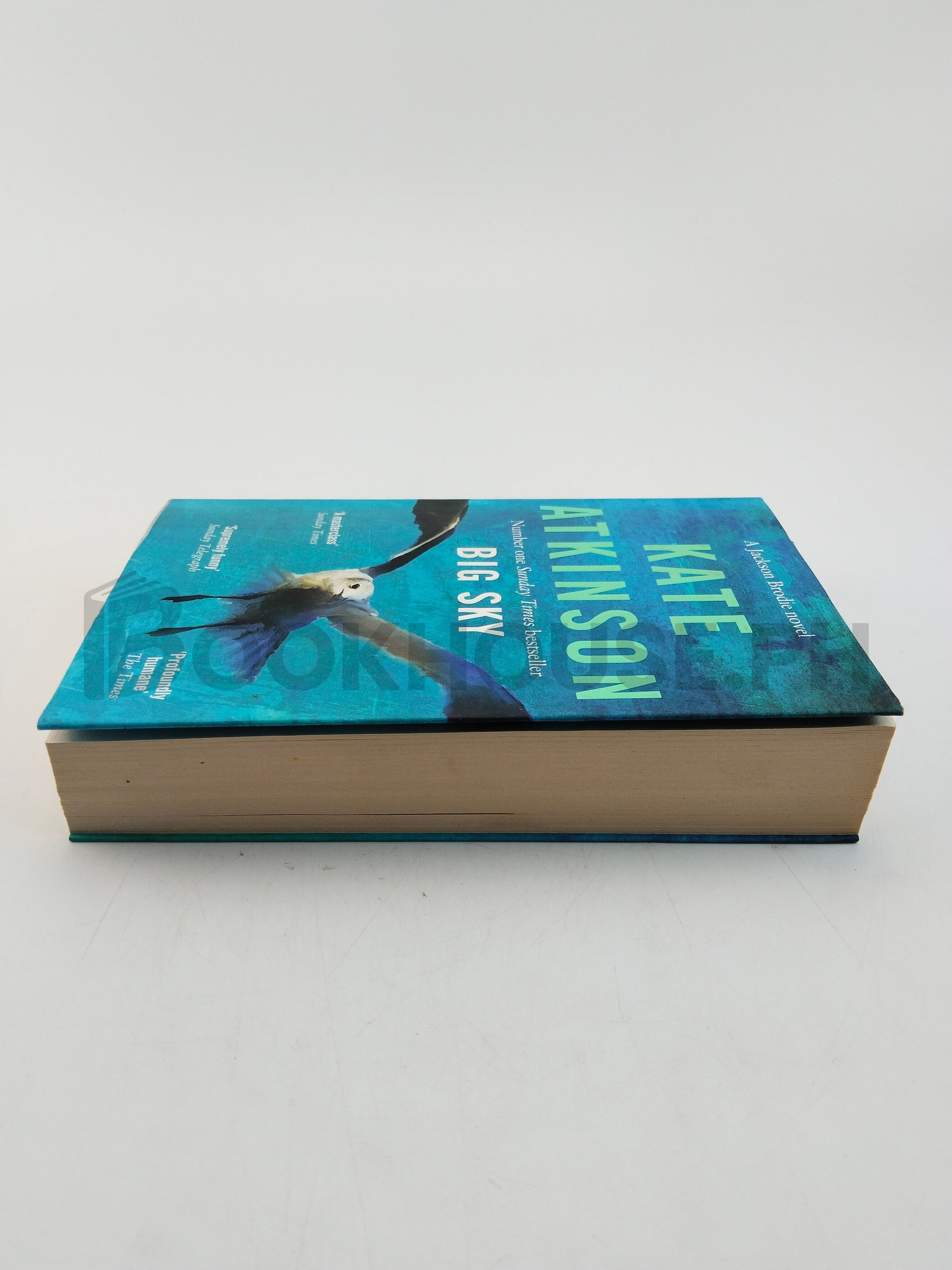 Big Sky by Kate Atkinson - Image 4