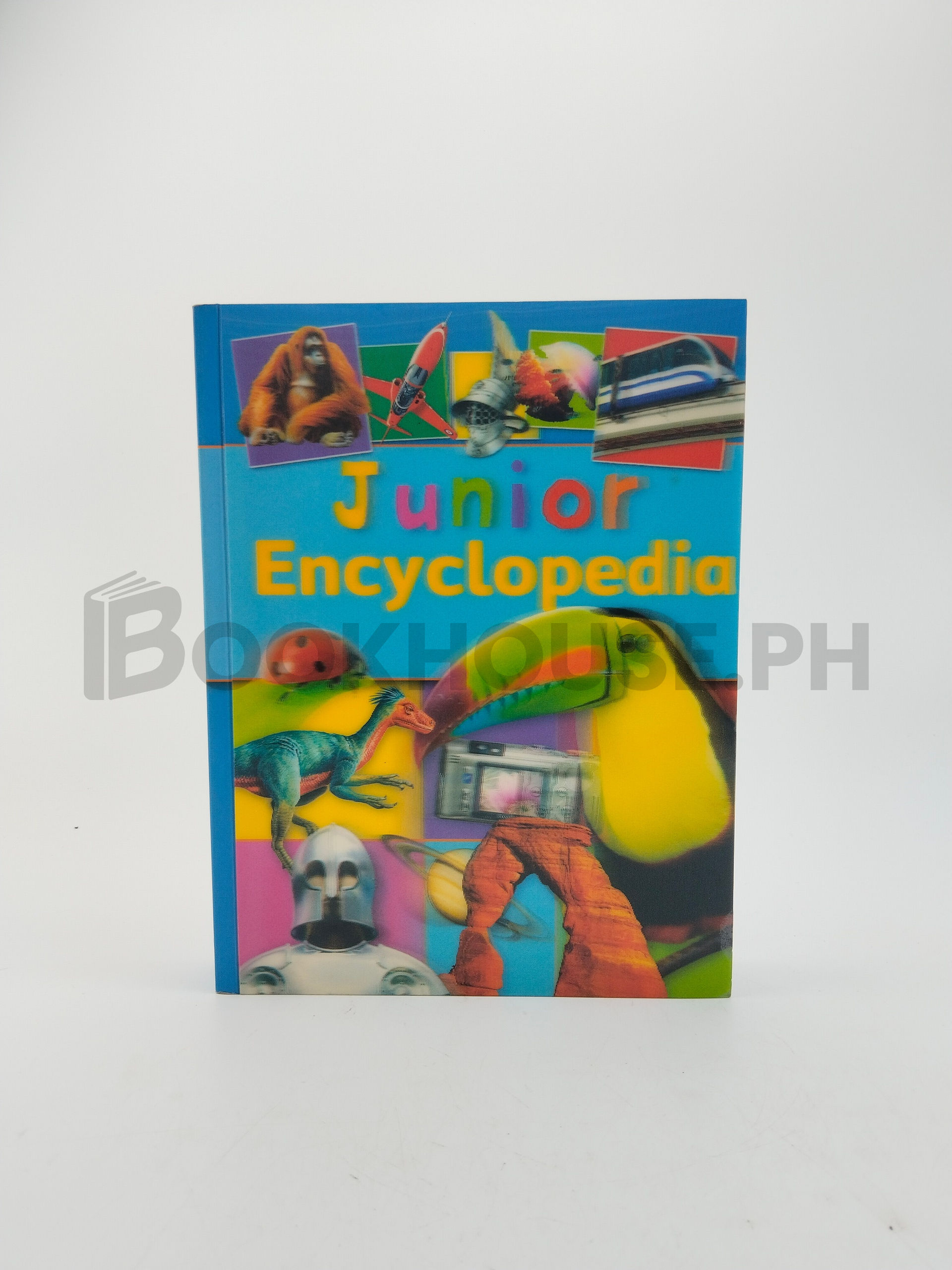 Junior Encyclopedia by Belinda Gallagher