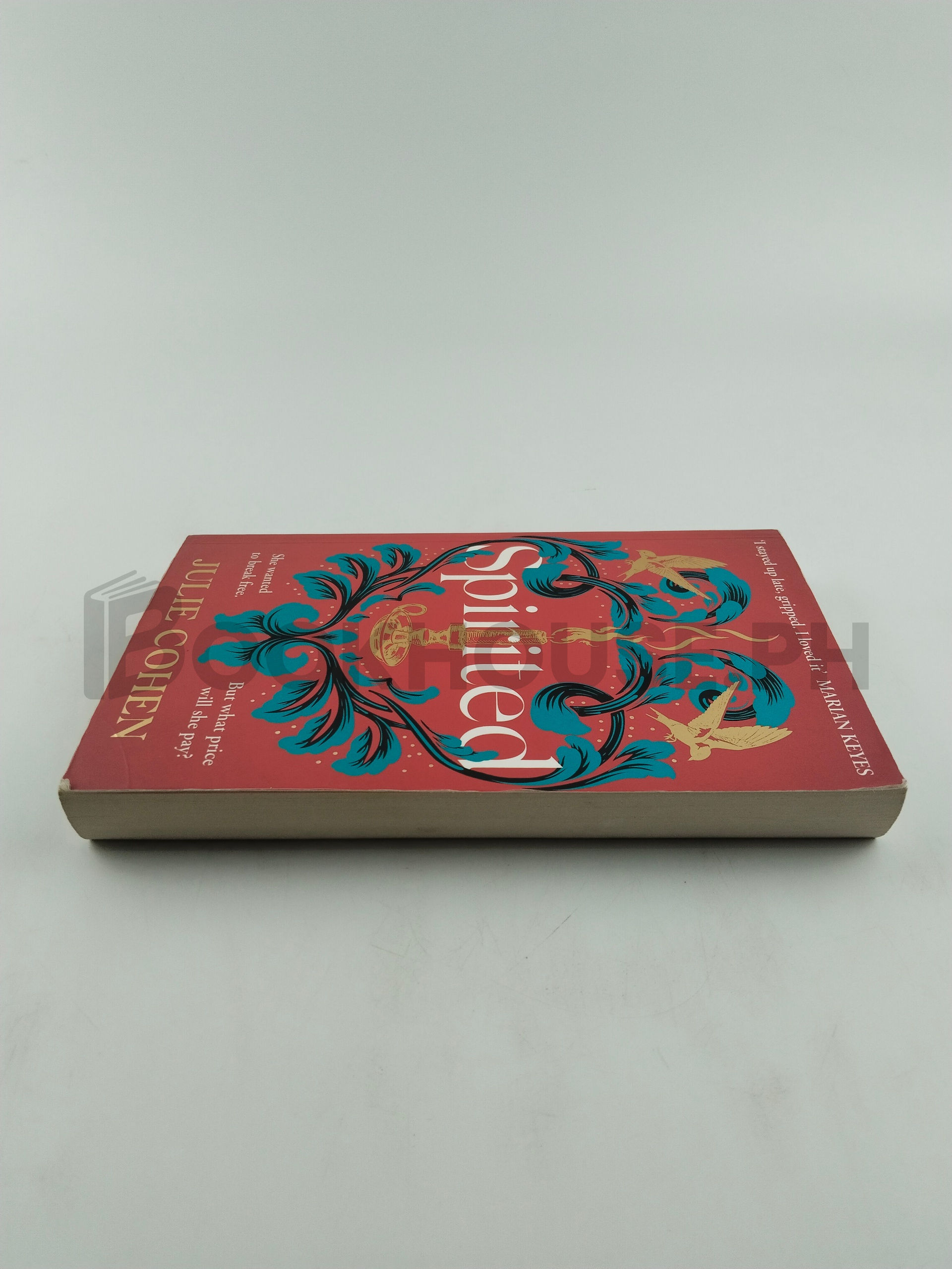 Spirited by Julie Cohen - Image 4