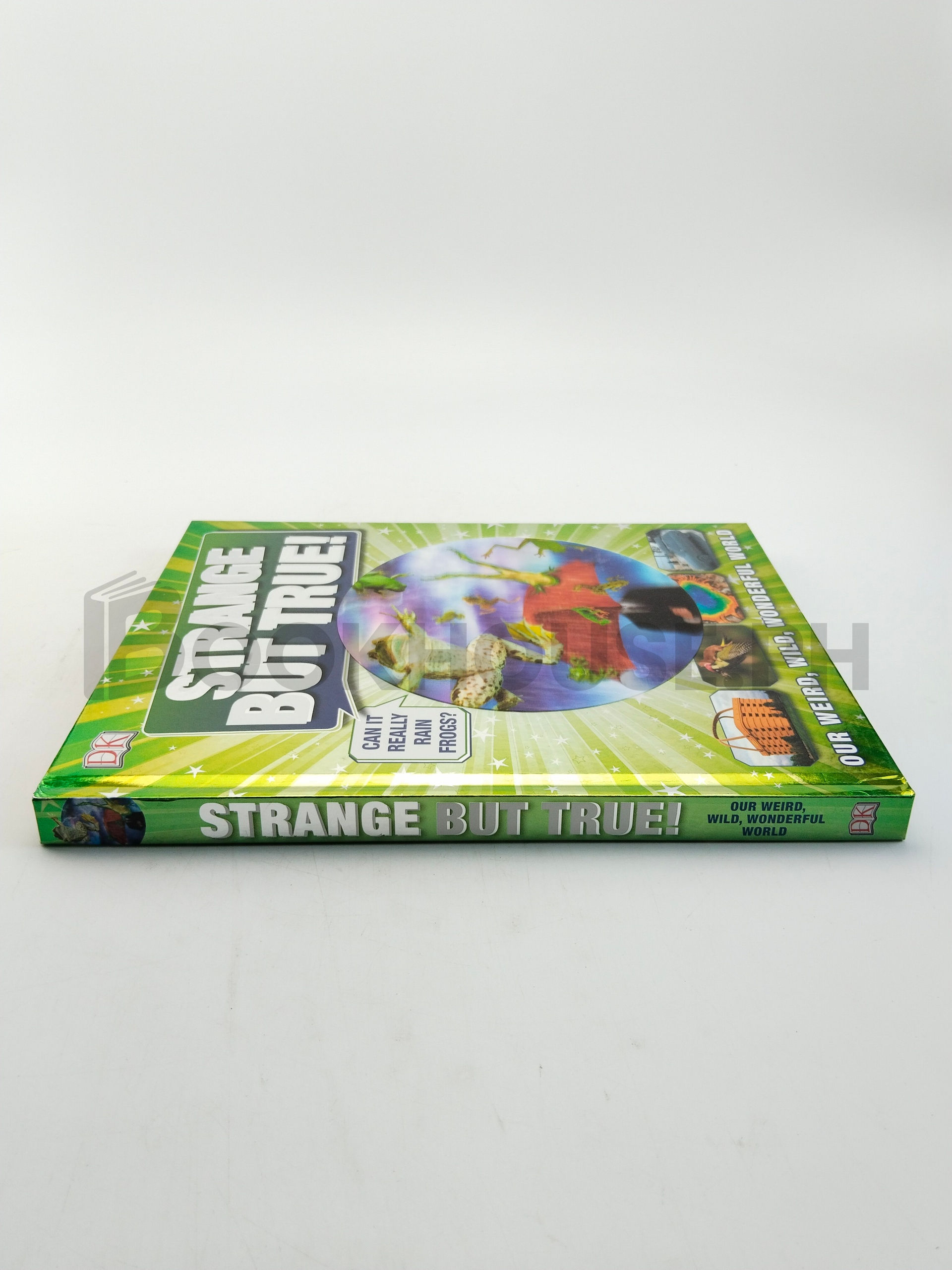 Strange But True! by Andrea Mills - Image 3