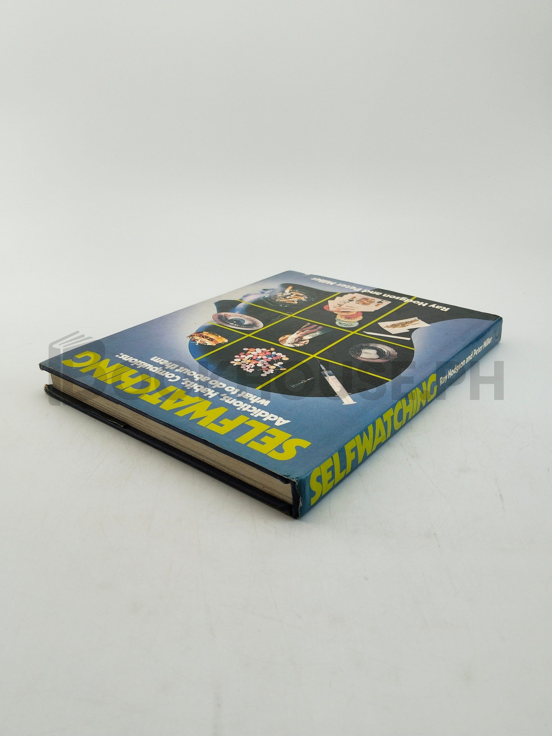 Self Watching by Ray Hodgson And Peter Miller - Image 2