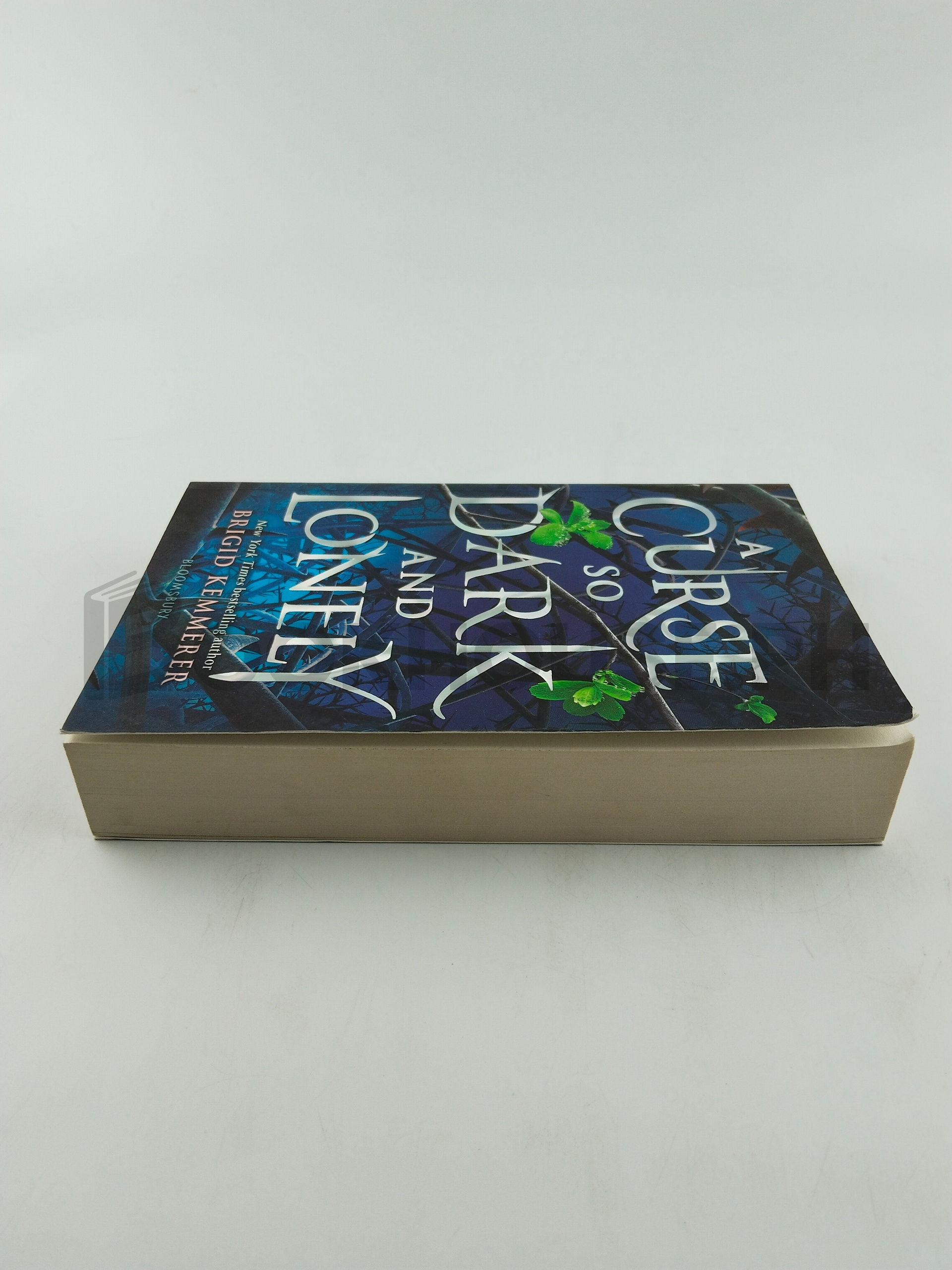 A Curse So Dark And Lonely by Brigid Kemmerer - Image 4