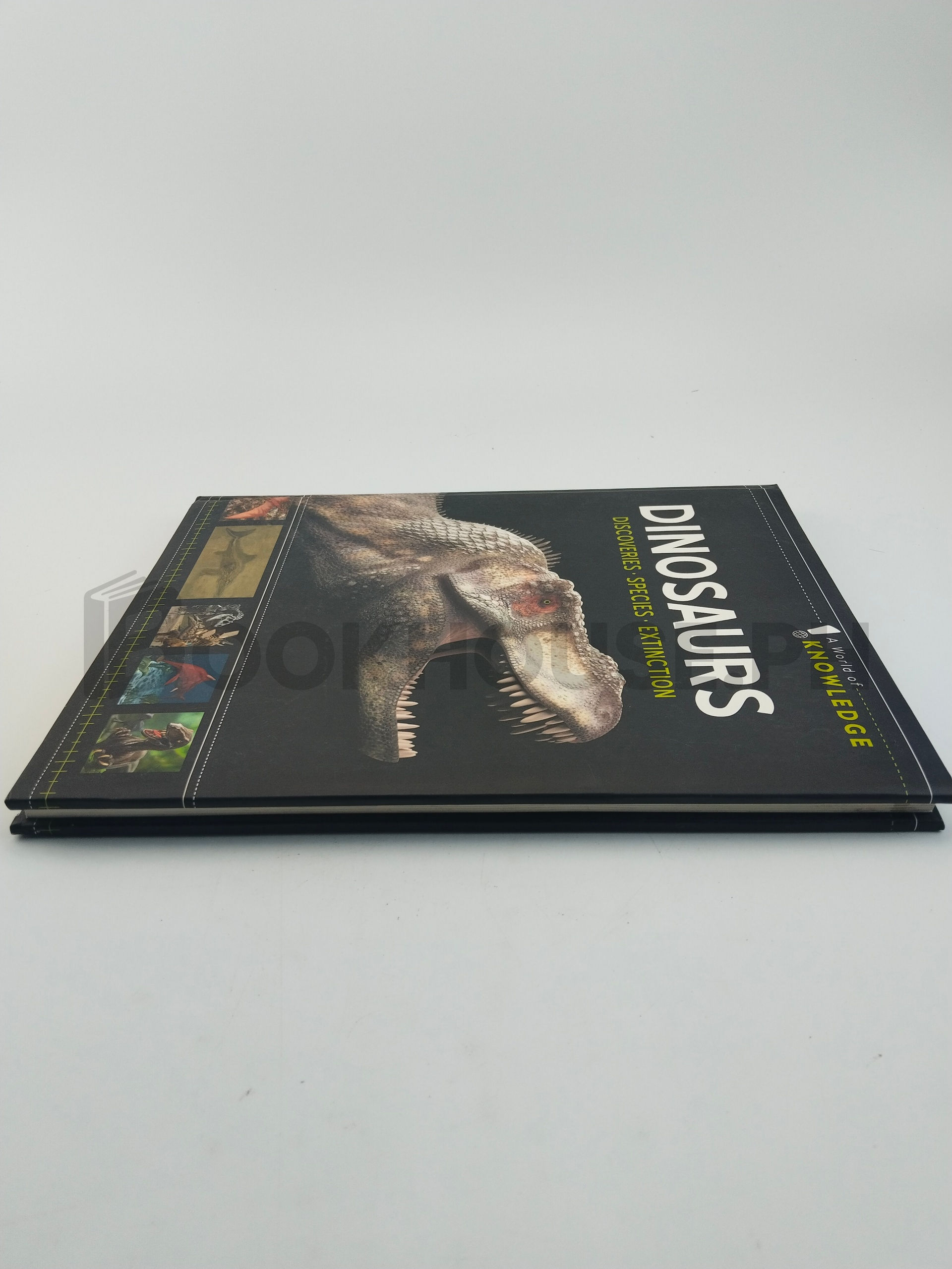 Dinosaurs by A World Of Knowledge - Image 4