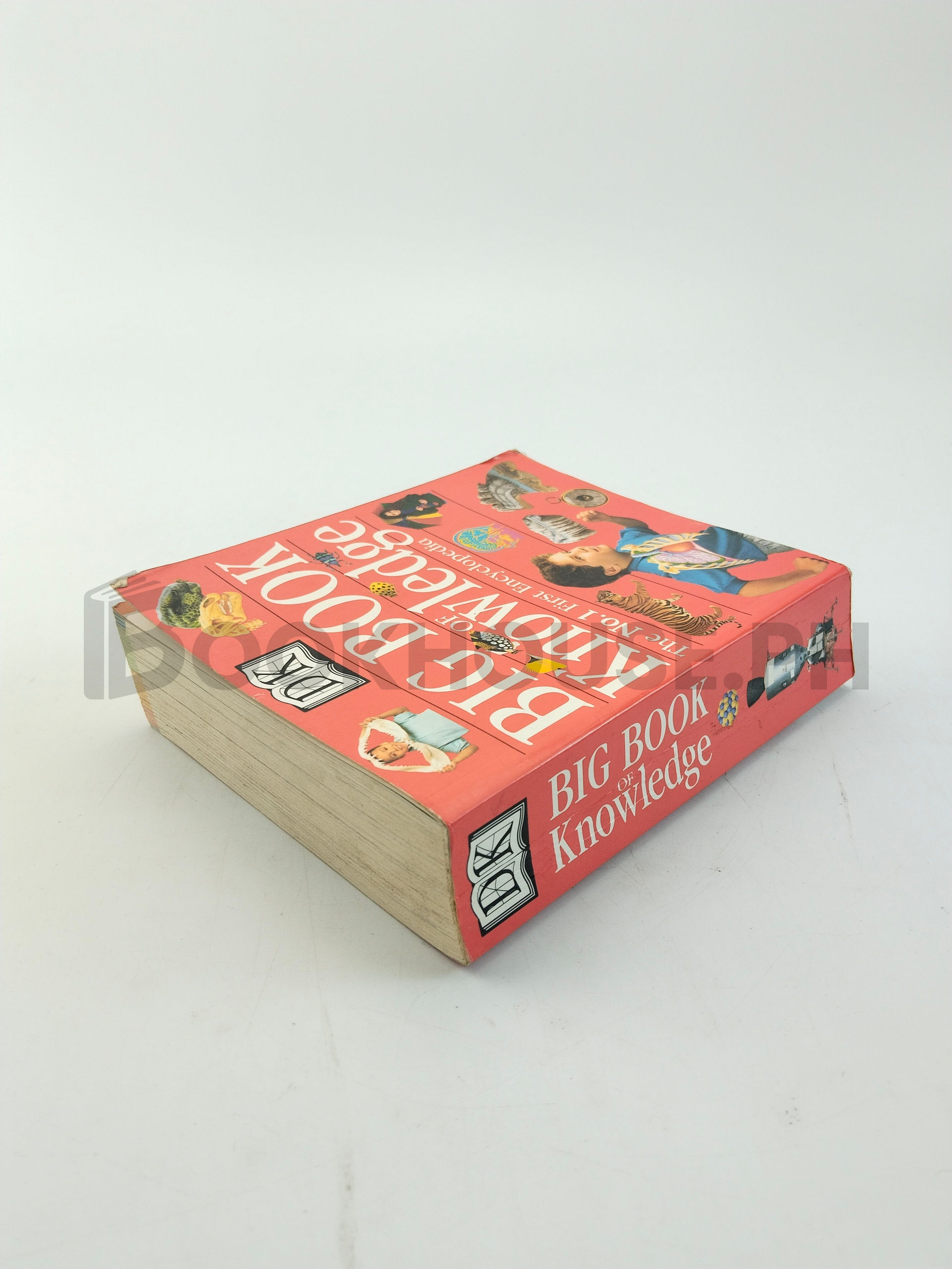 Big Book Of Knowledge by Dk - Image 2