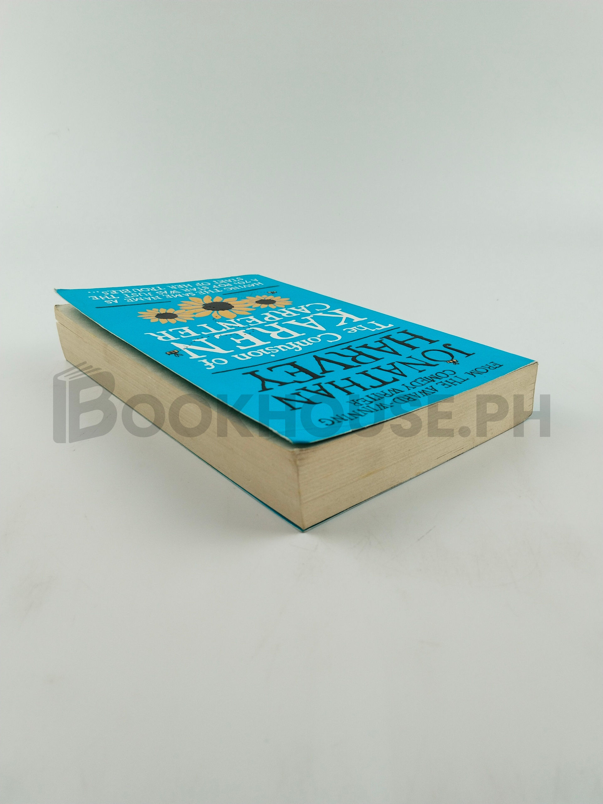 The Confusion Of Karen Carpenter by Jonathan Harvey - Image 2