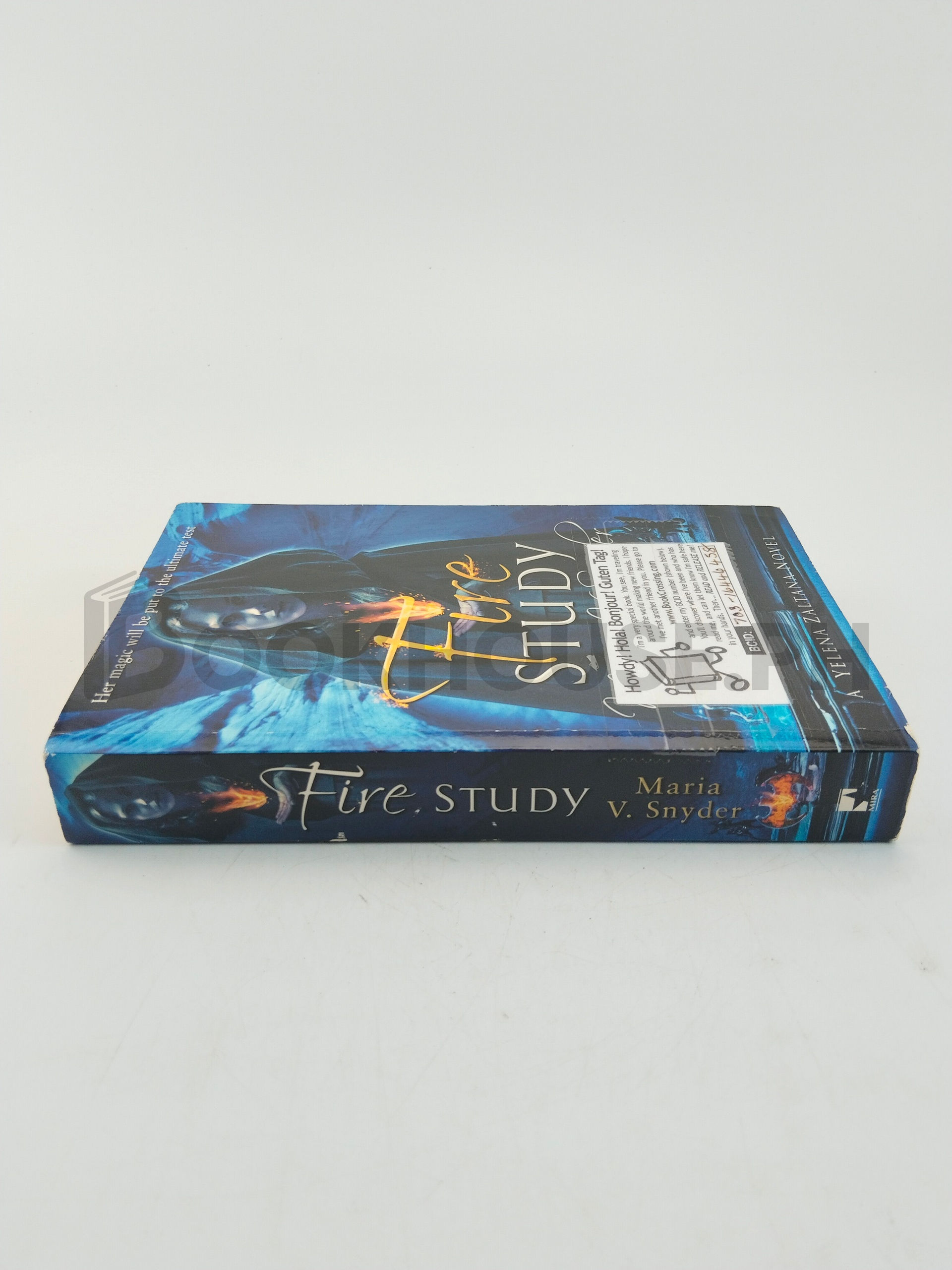 Fire Study by Maria V. Snyder - Image 3