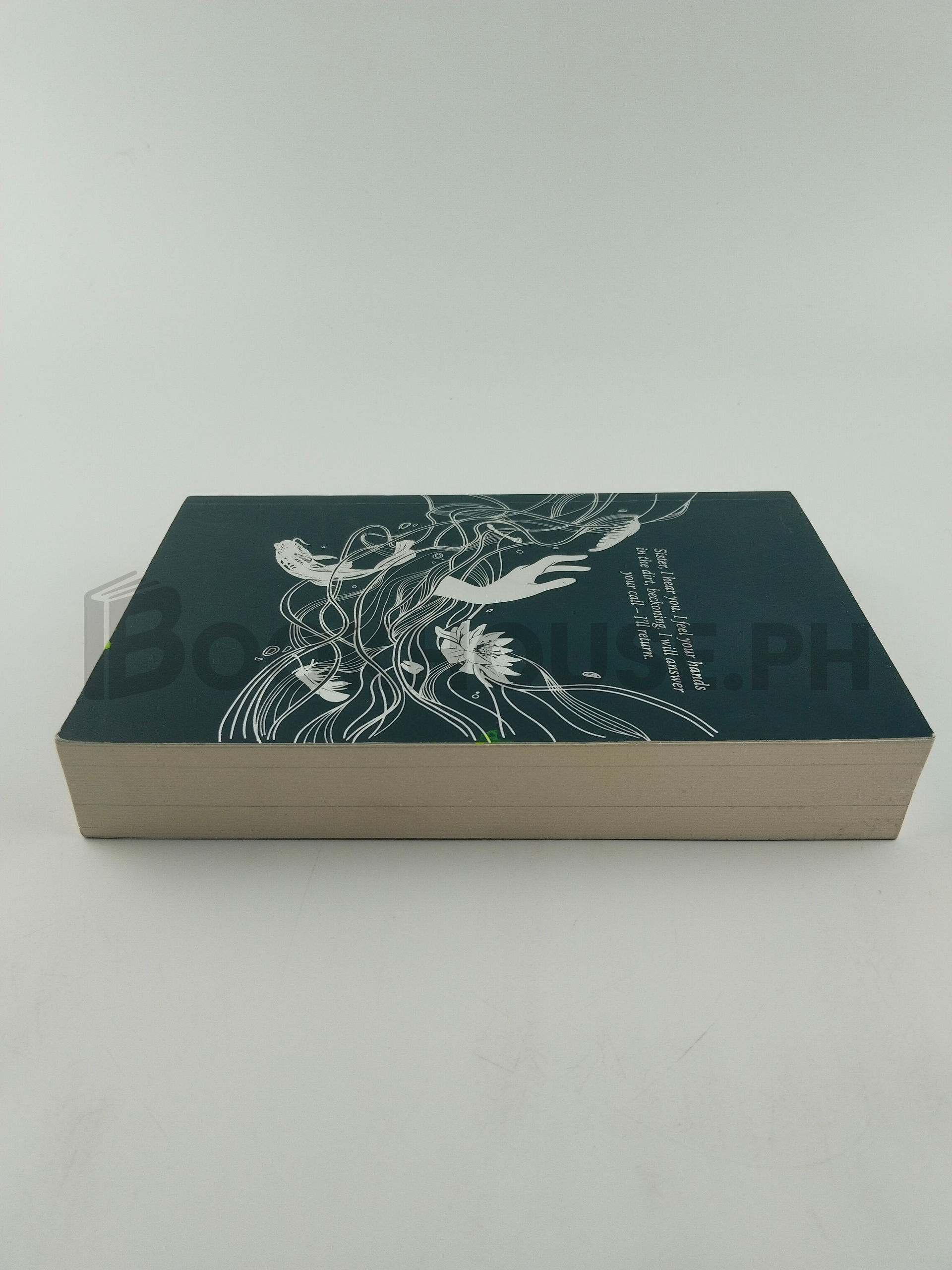 And The River Drags Her Down by Jihyun Yun - Image 4