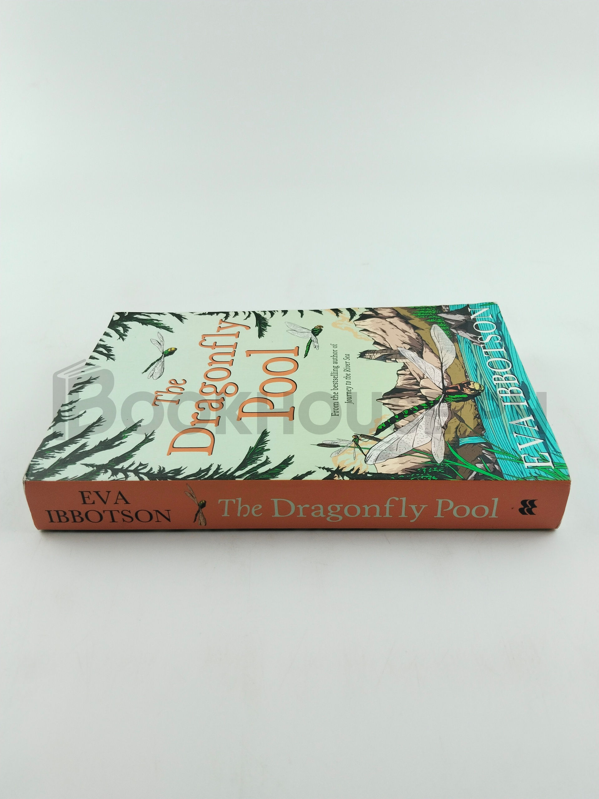 The Dragonfly Pool by Eva Ibbotson - Image 3