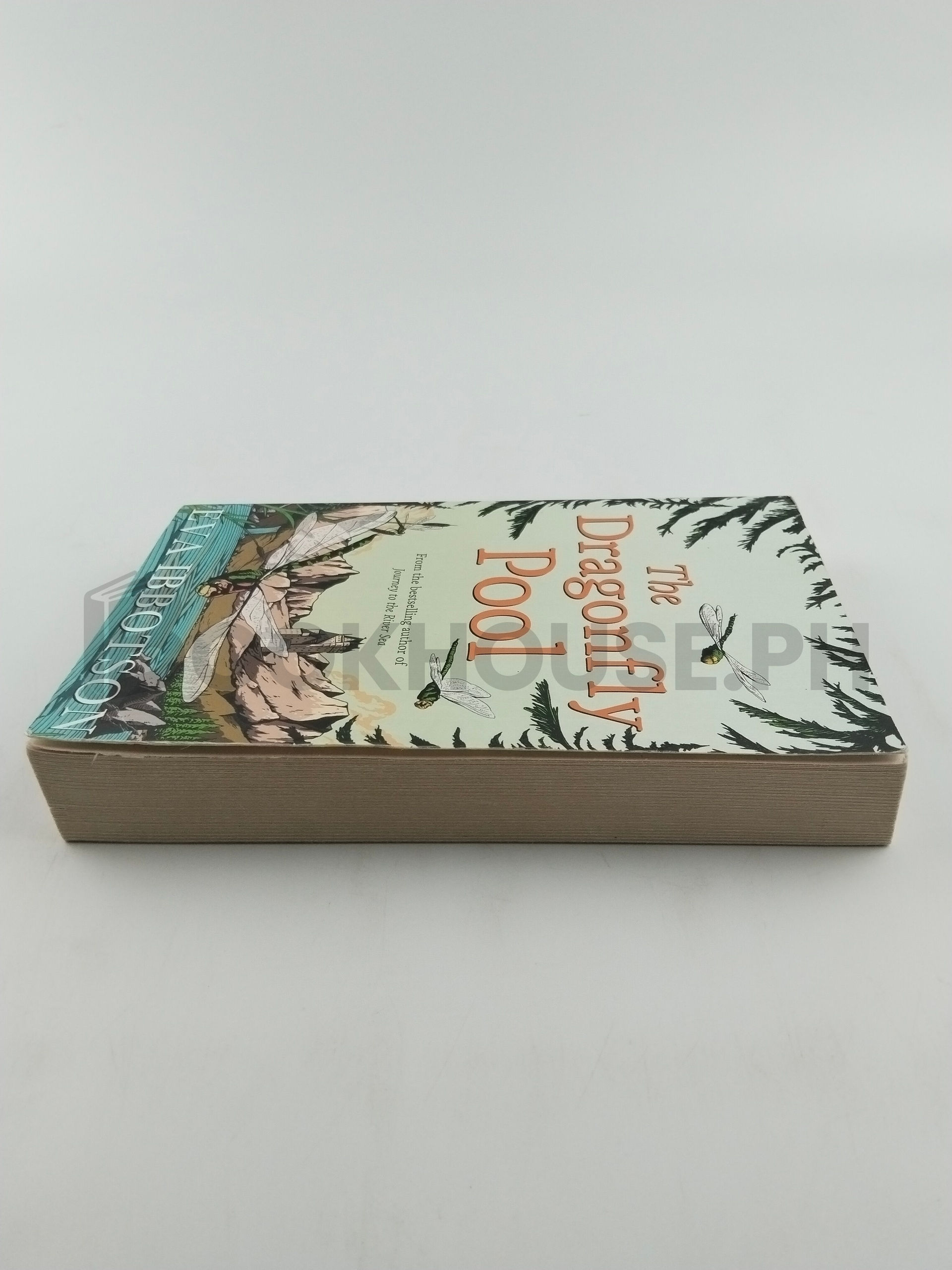 The Dragonfly Pool by Eva Ibbotson - Image 4