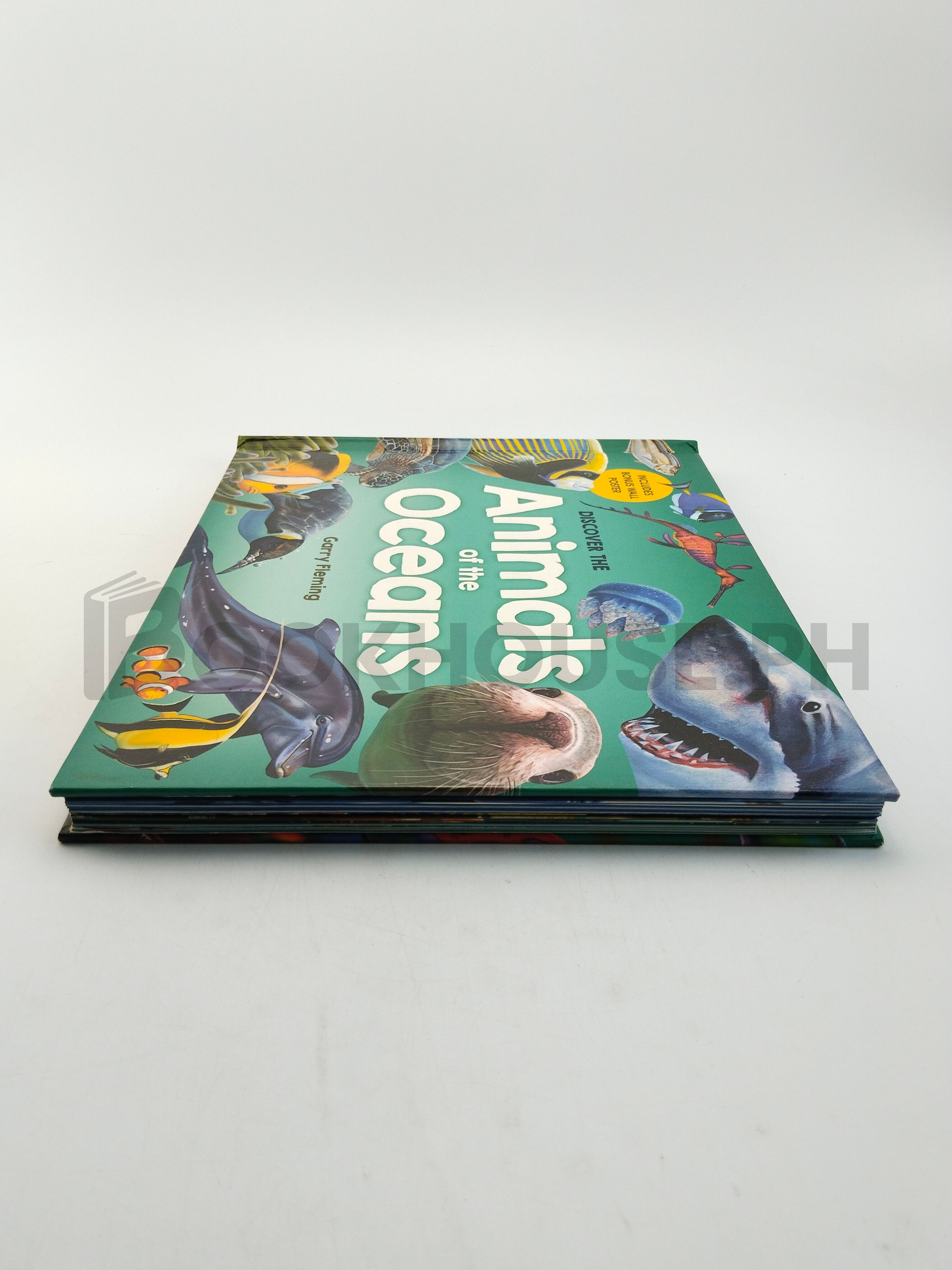 Discover The Animals Of The Ocean by Garry Fleming - Image 4