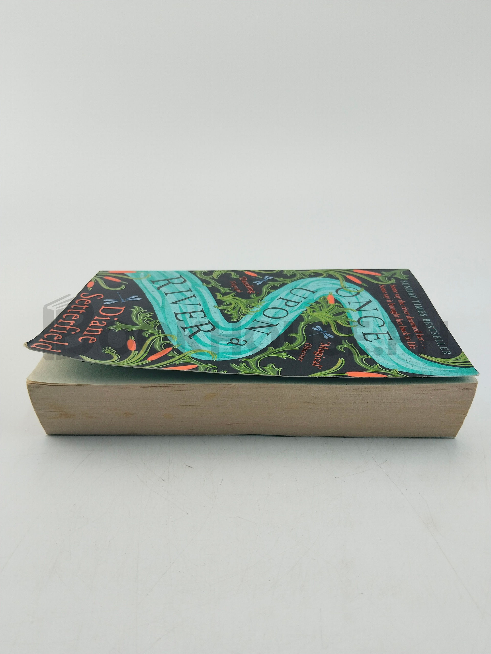 Once Upon A River by Diane Setterfield - Image 4