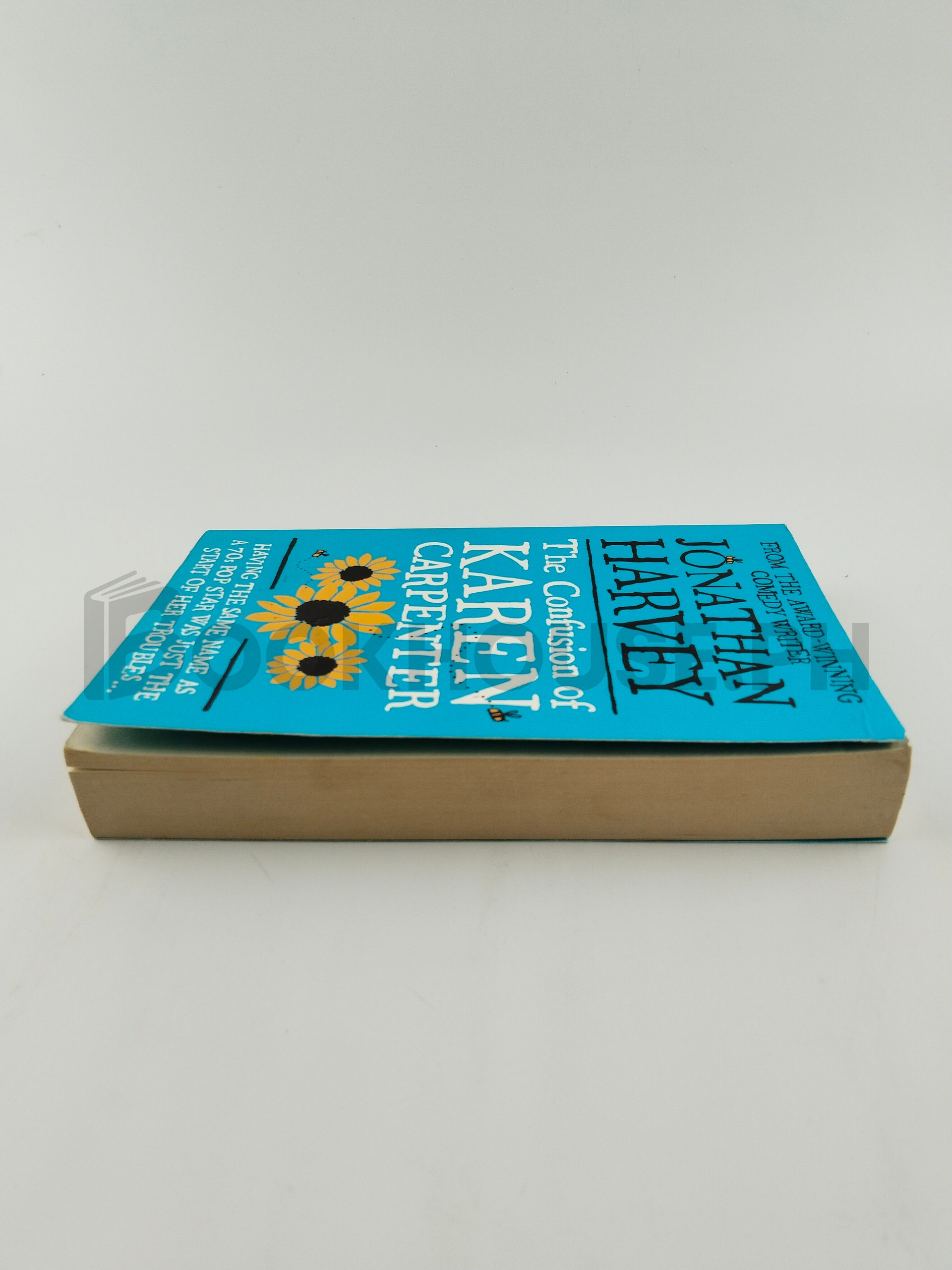 The Confusion Of Karen Carpenter by Jonathan Harvey - Image 4